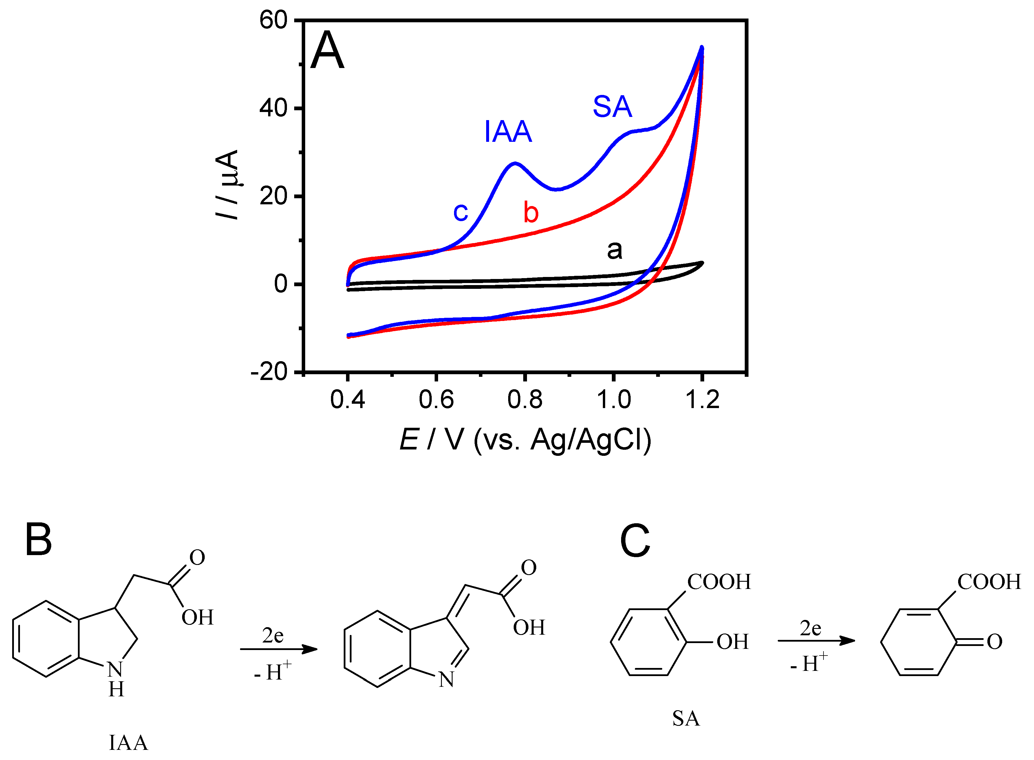 Sensors 19 05483 g003