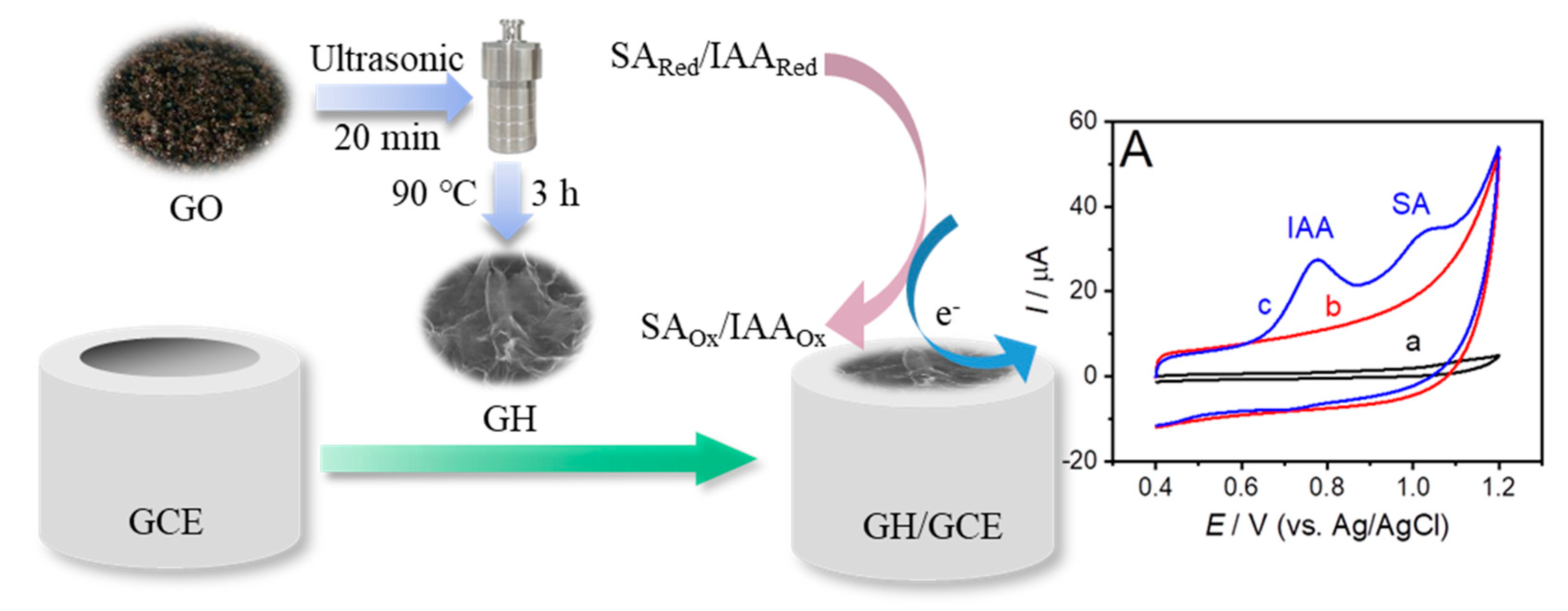 Sensors 19 05483 sch001
