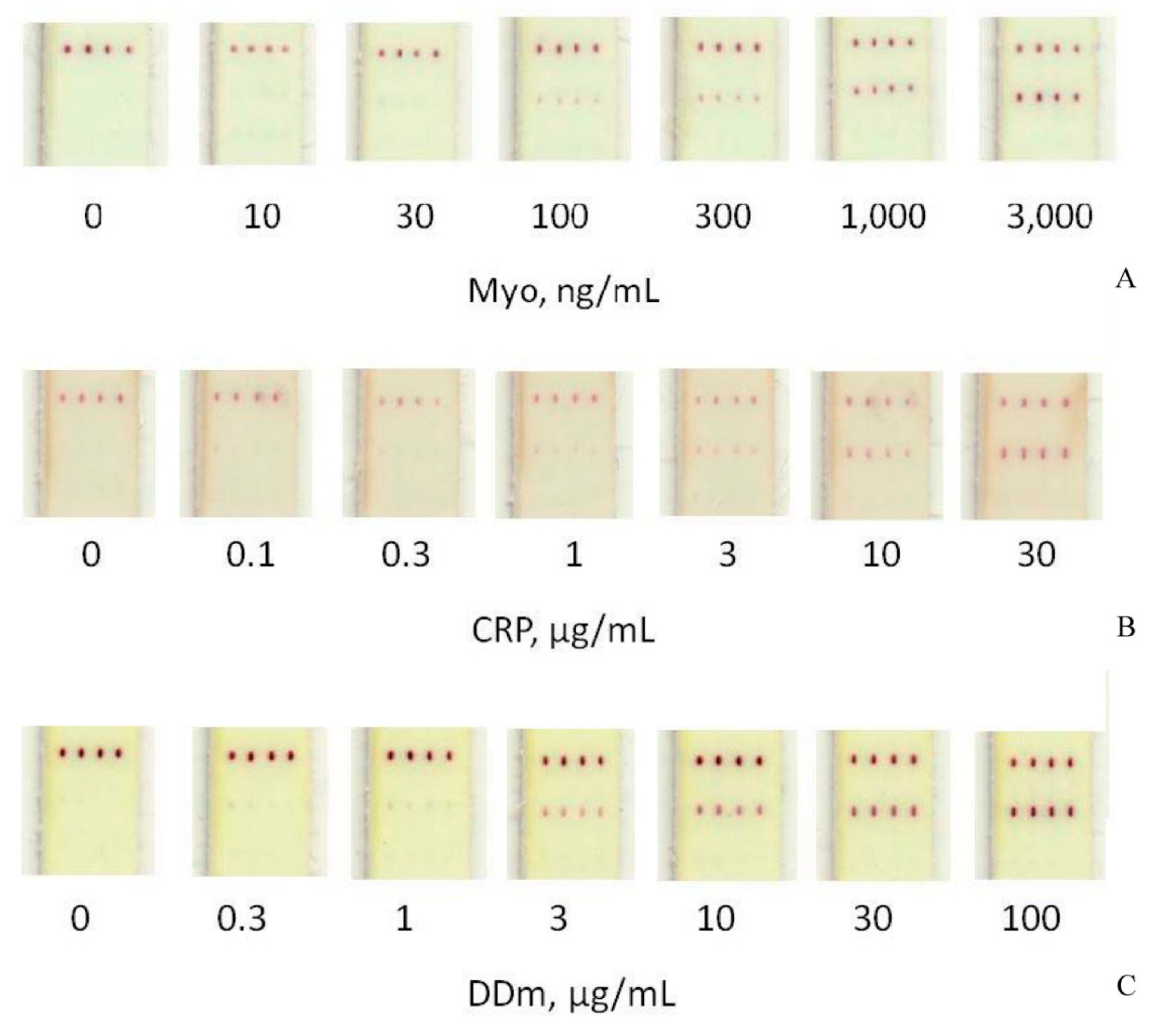 Sensors 19 05494 g003 Sensors 19 05494 g003