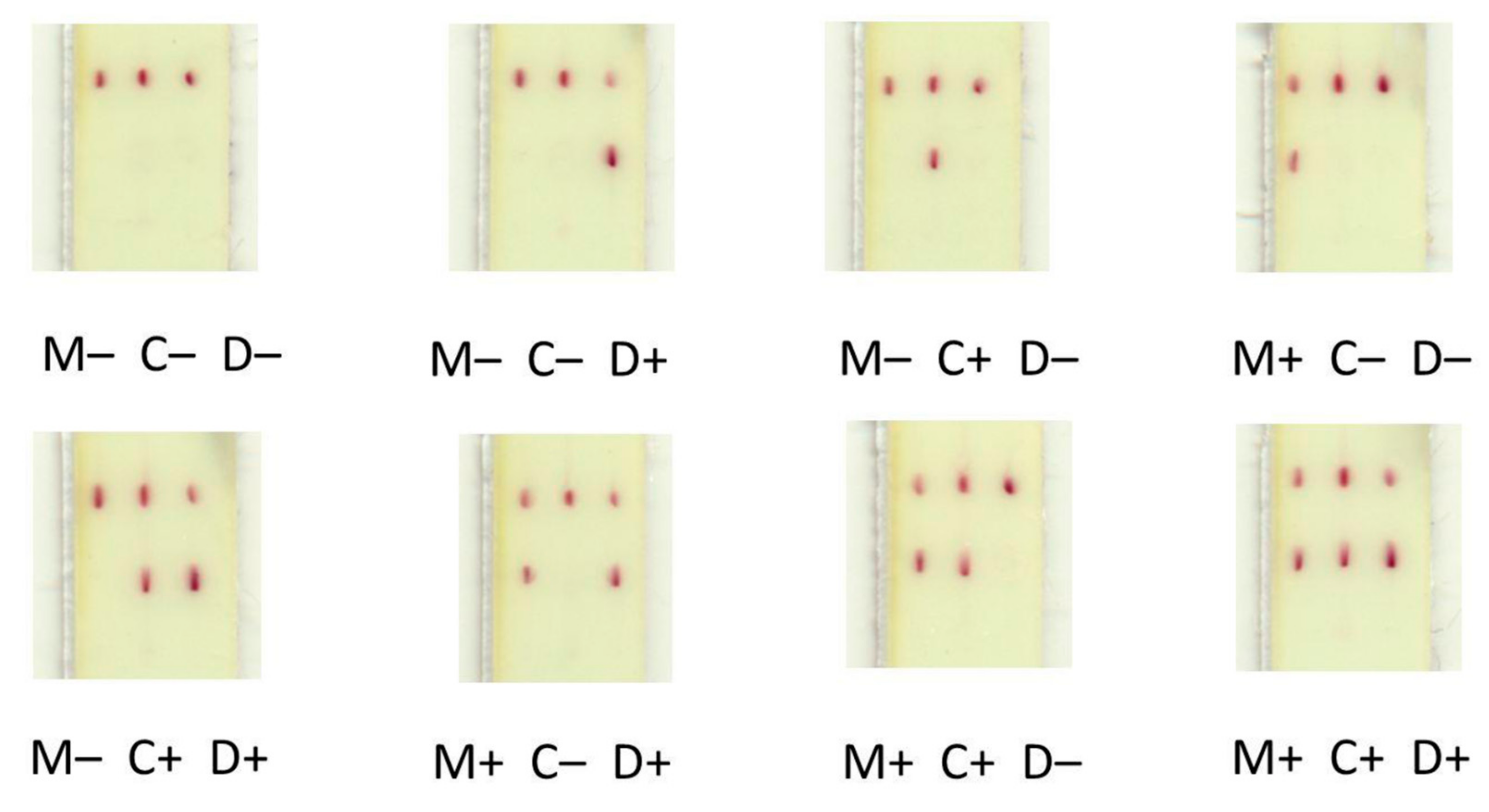 Sensors 19 05494 g005 Sensors 19 05494 g005
