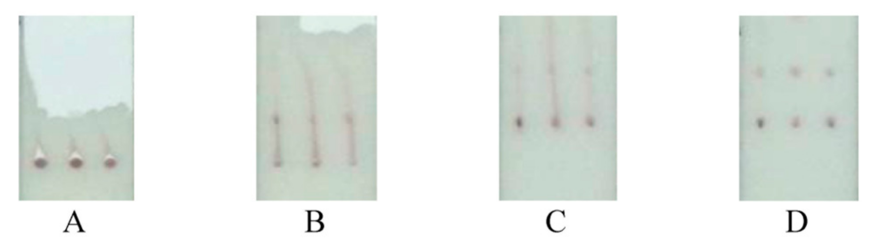 Sensors 19 05494 g006 Sensors 19 05494 g006