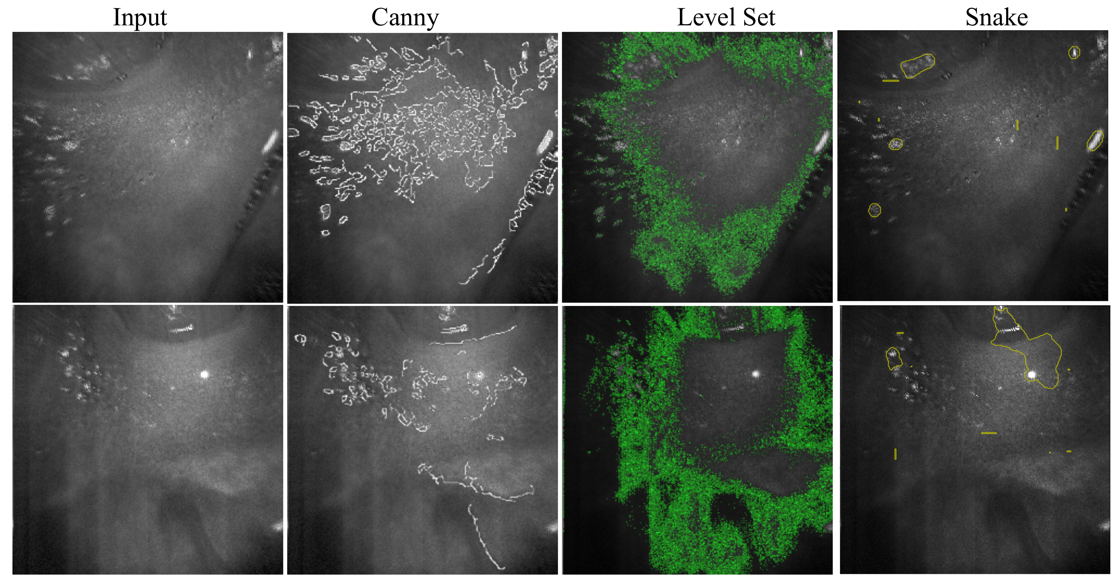 Sensors 19 05496 g003