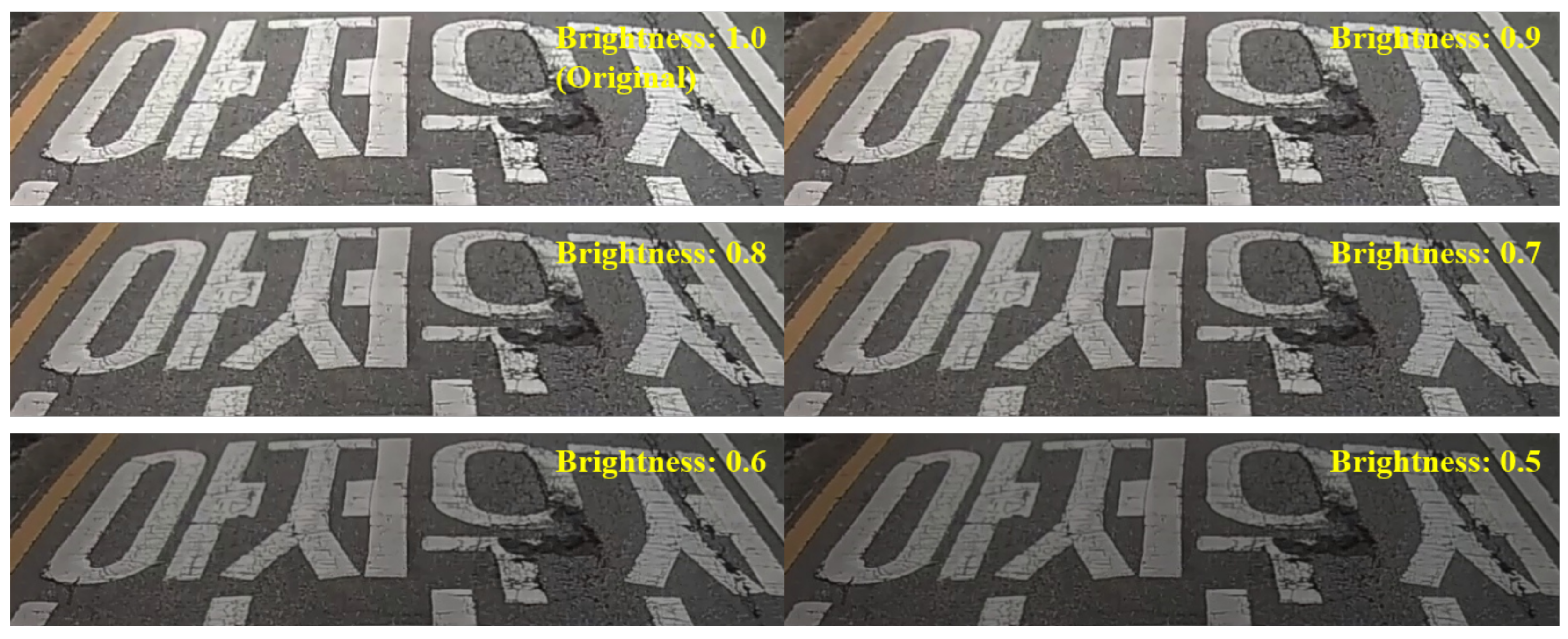 Sensors 19 05501 g005