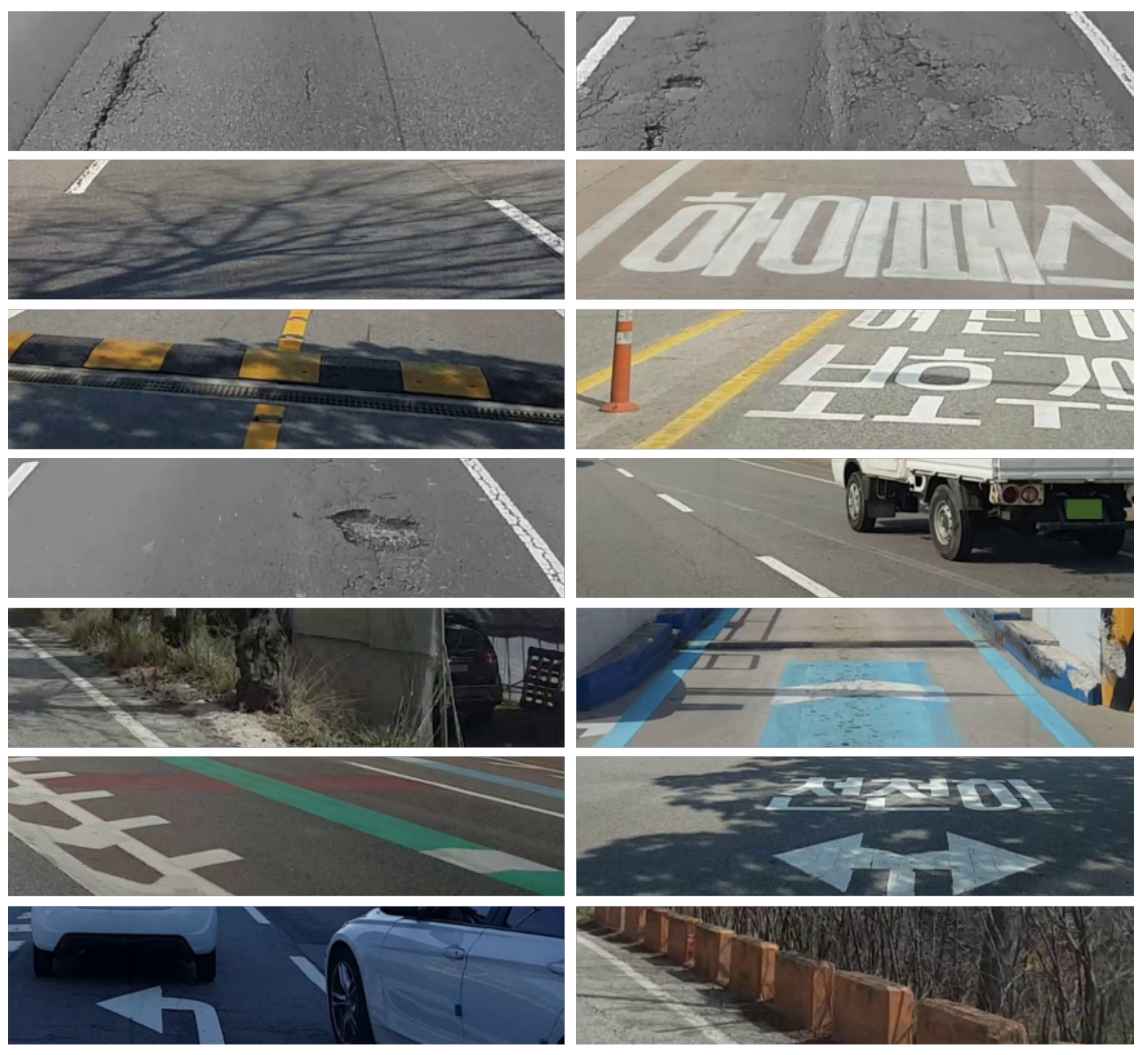 Sensors 19 05501 g012