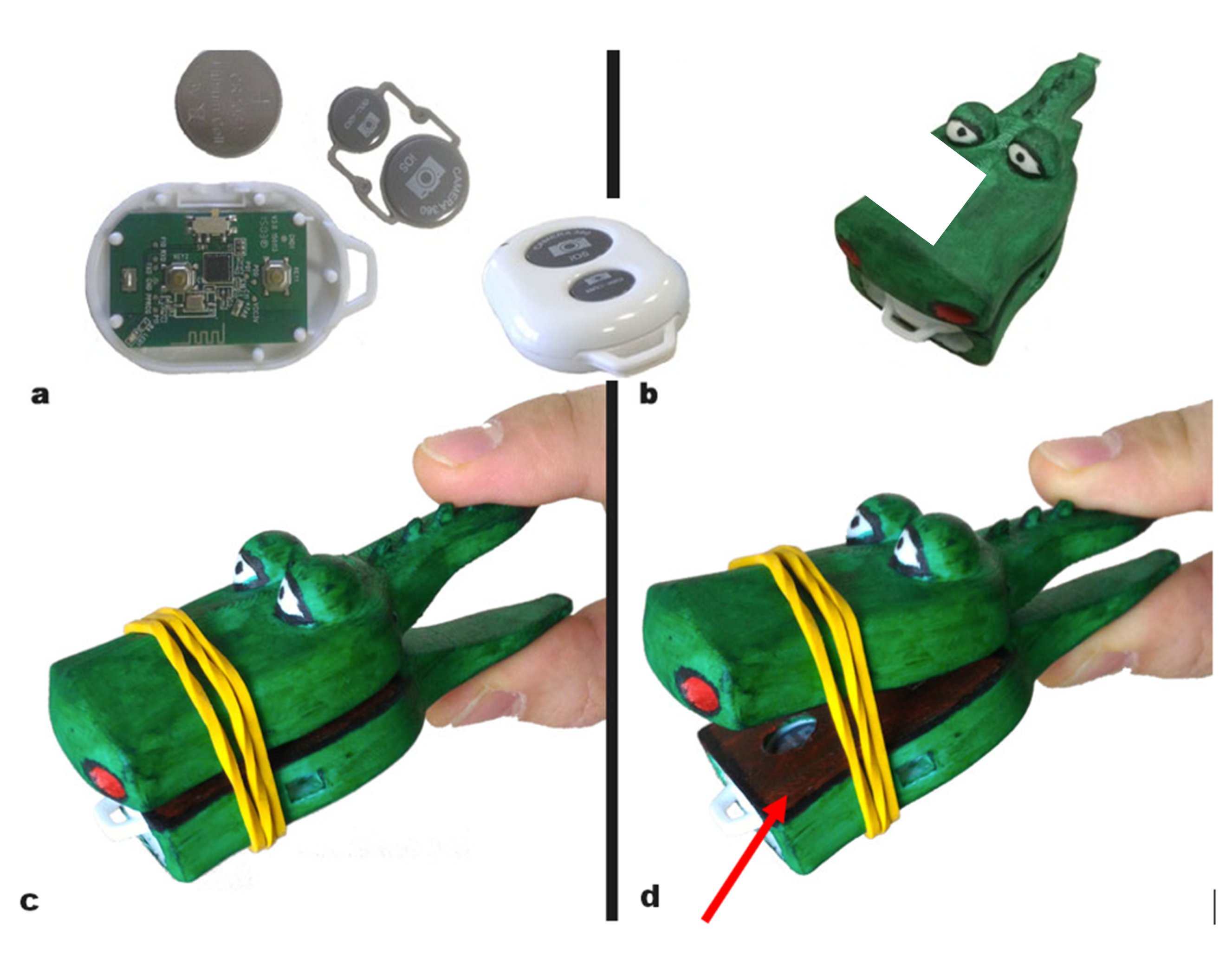Sensors 19 05517 g003 Sensors 19 05517 g003