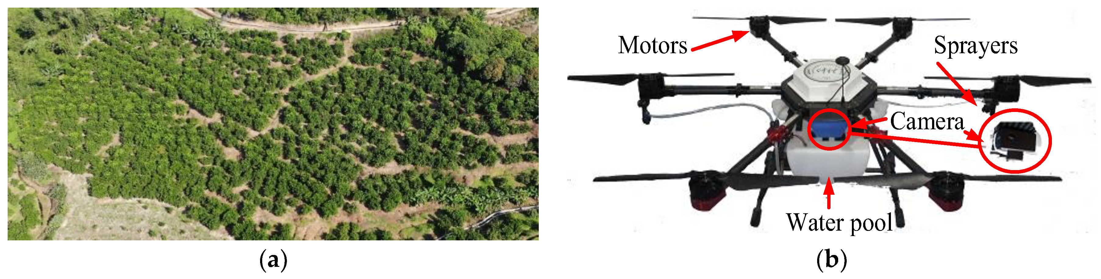 Sensors 19 05558 g001