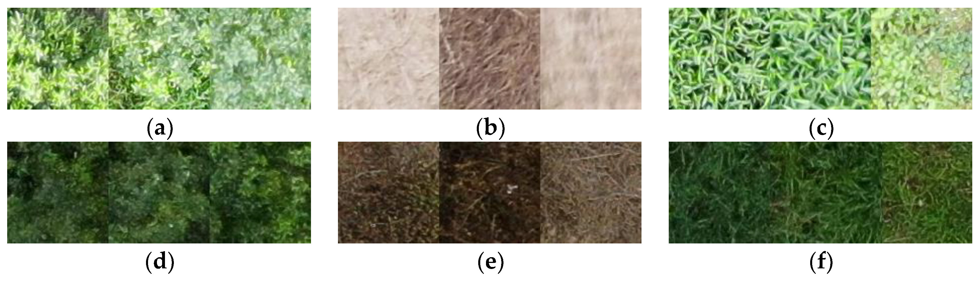 Sensors 19 05558 g002