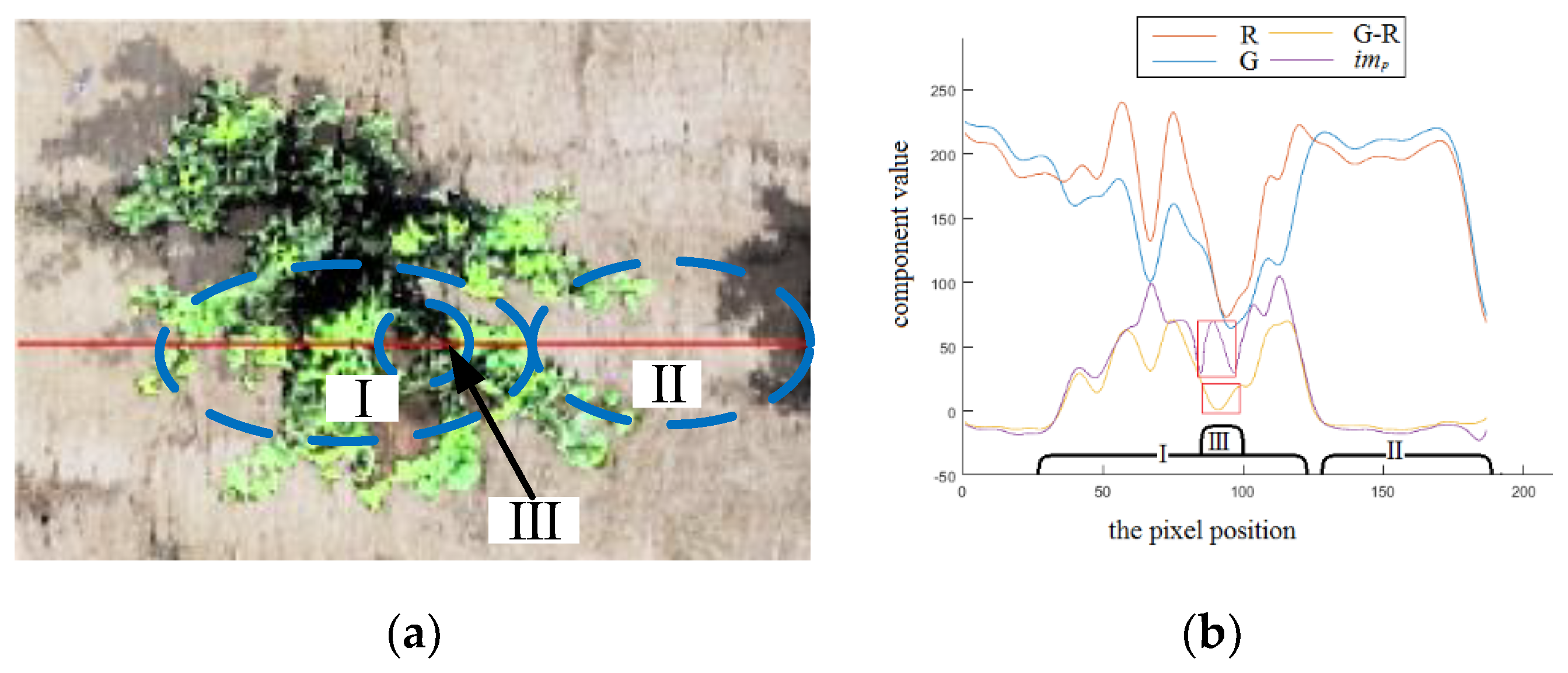 Sensors 19 05558 g004