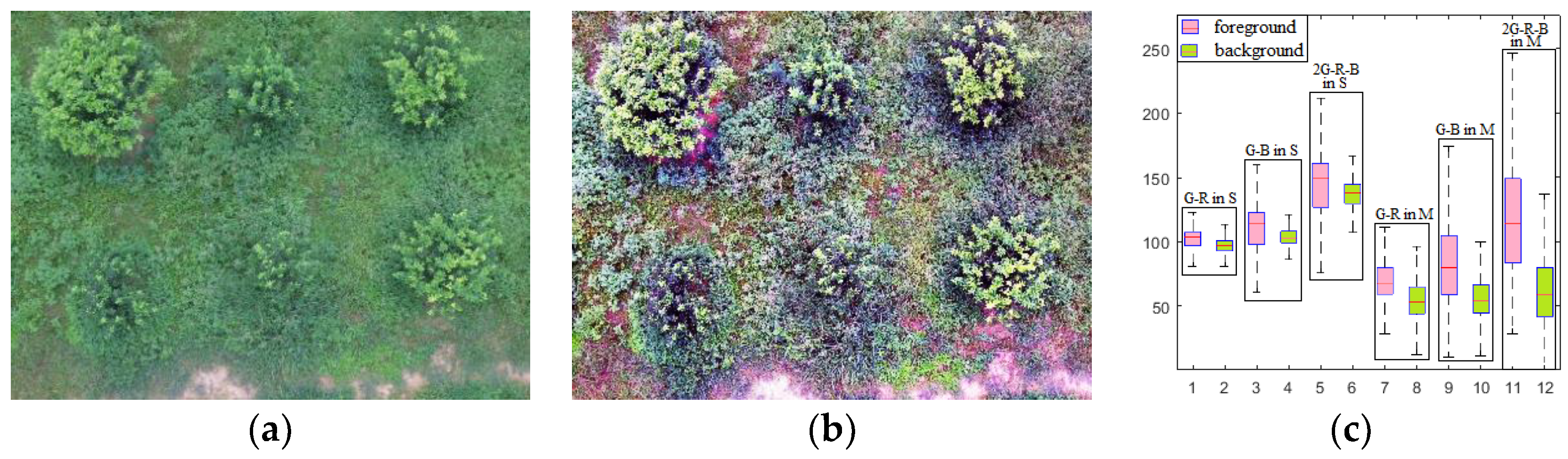 Sensors 19 05558 g005