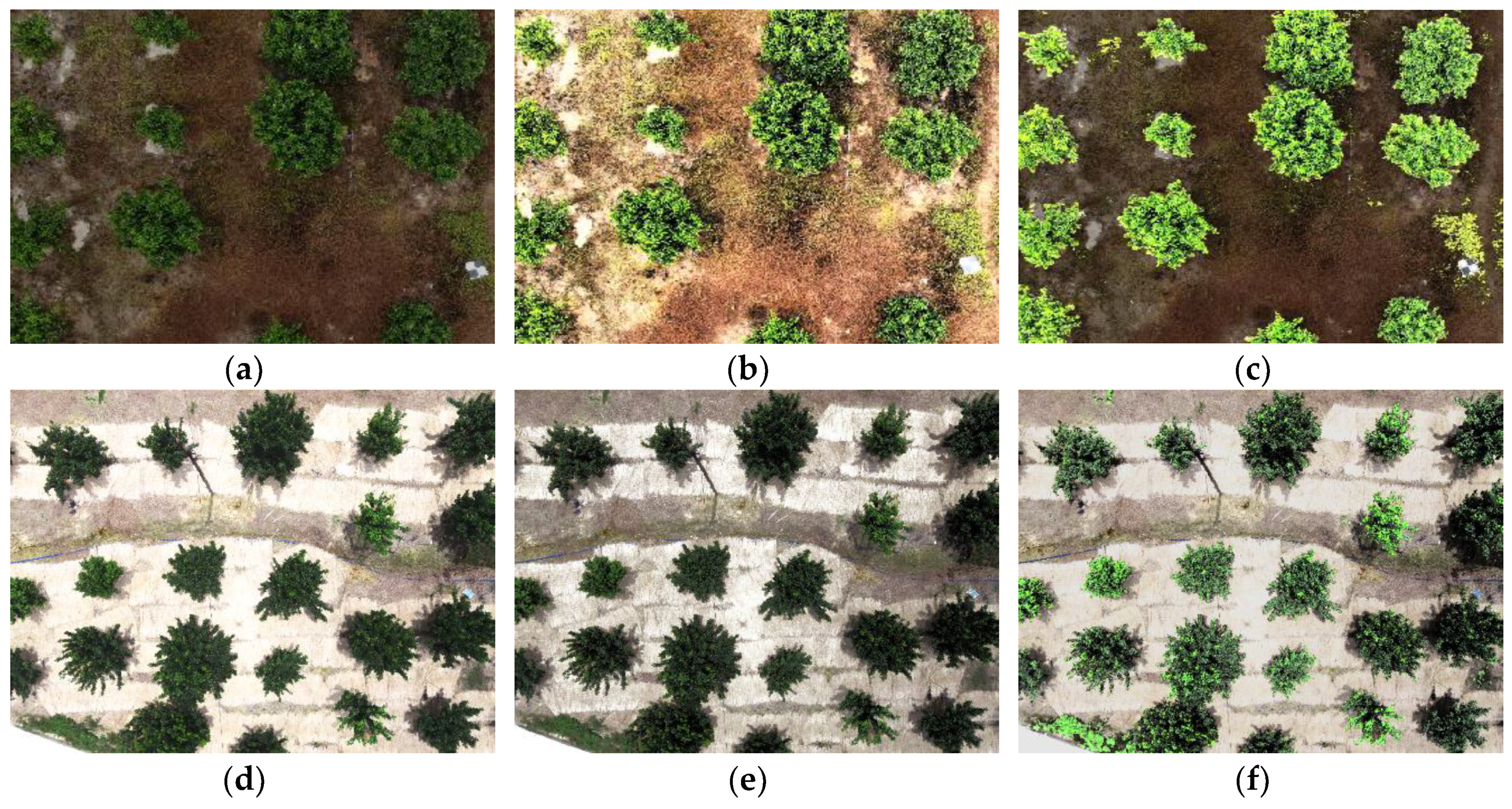Sensors 19 05558 g006