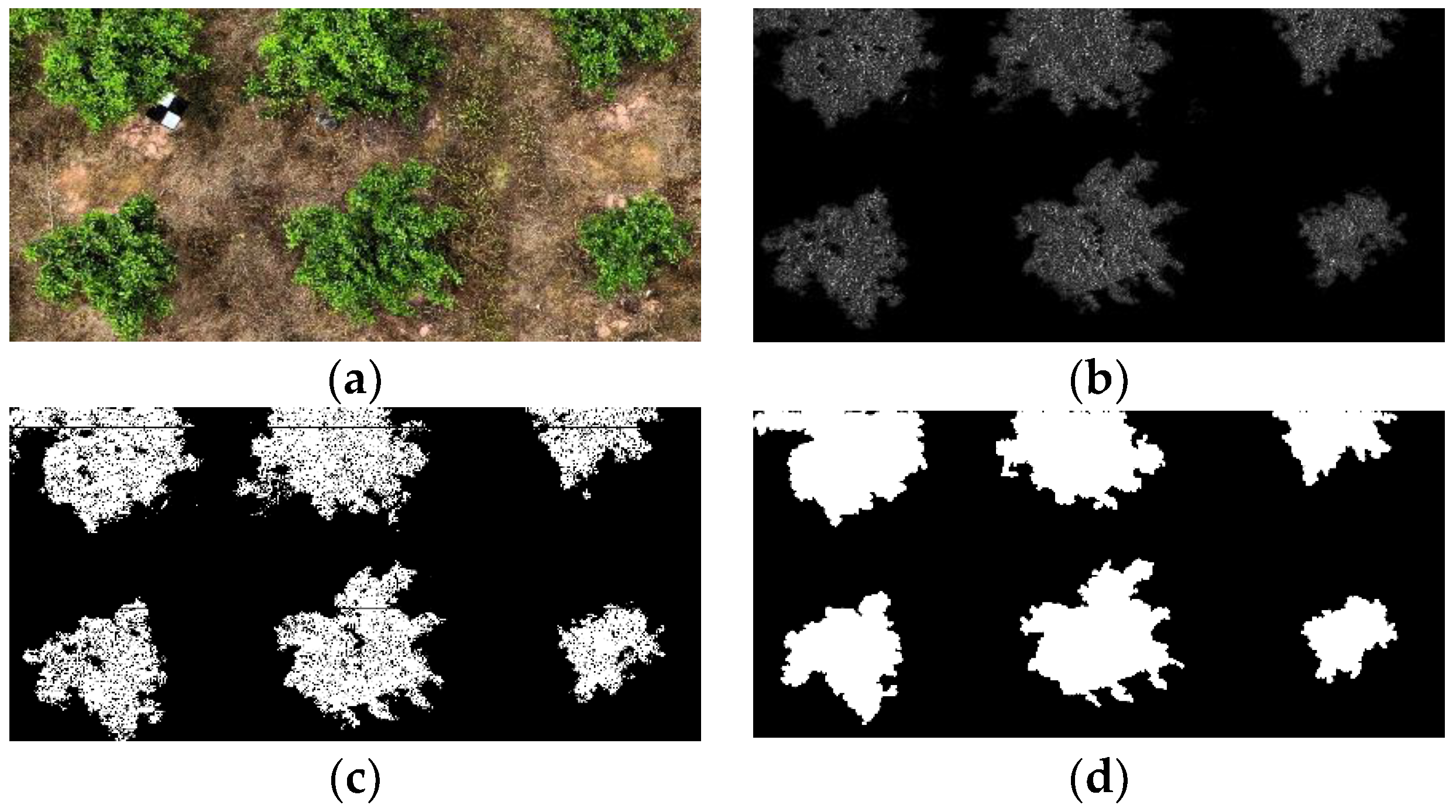 Sensors 19 05558 g008