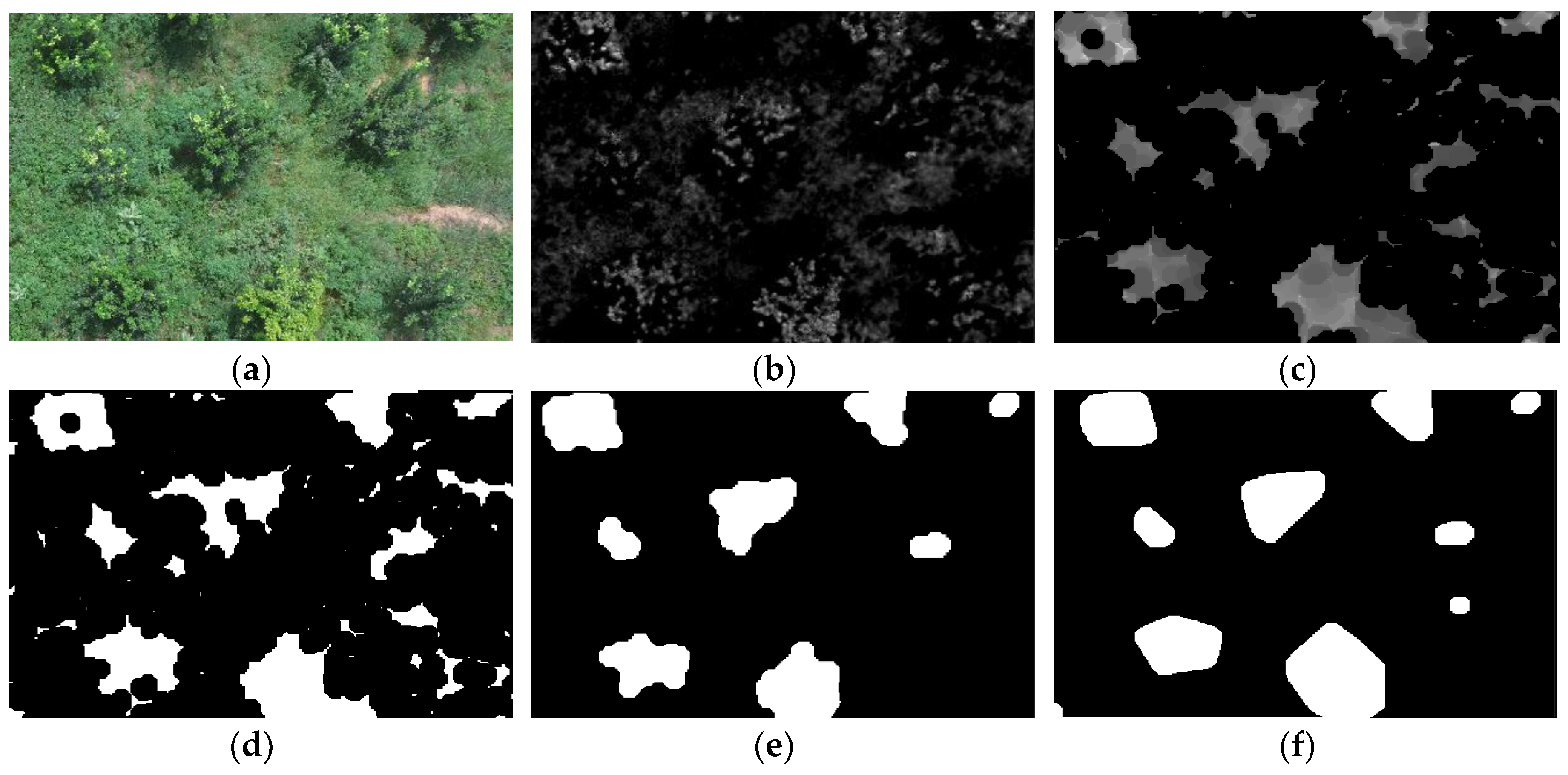 Sensors 19 05558 g009