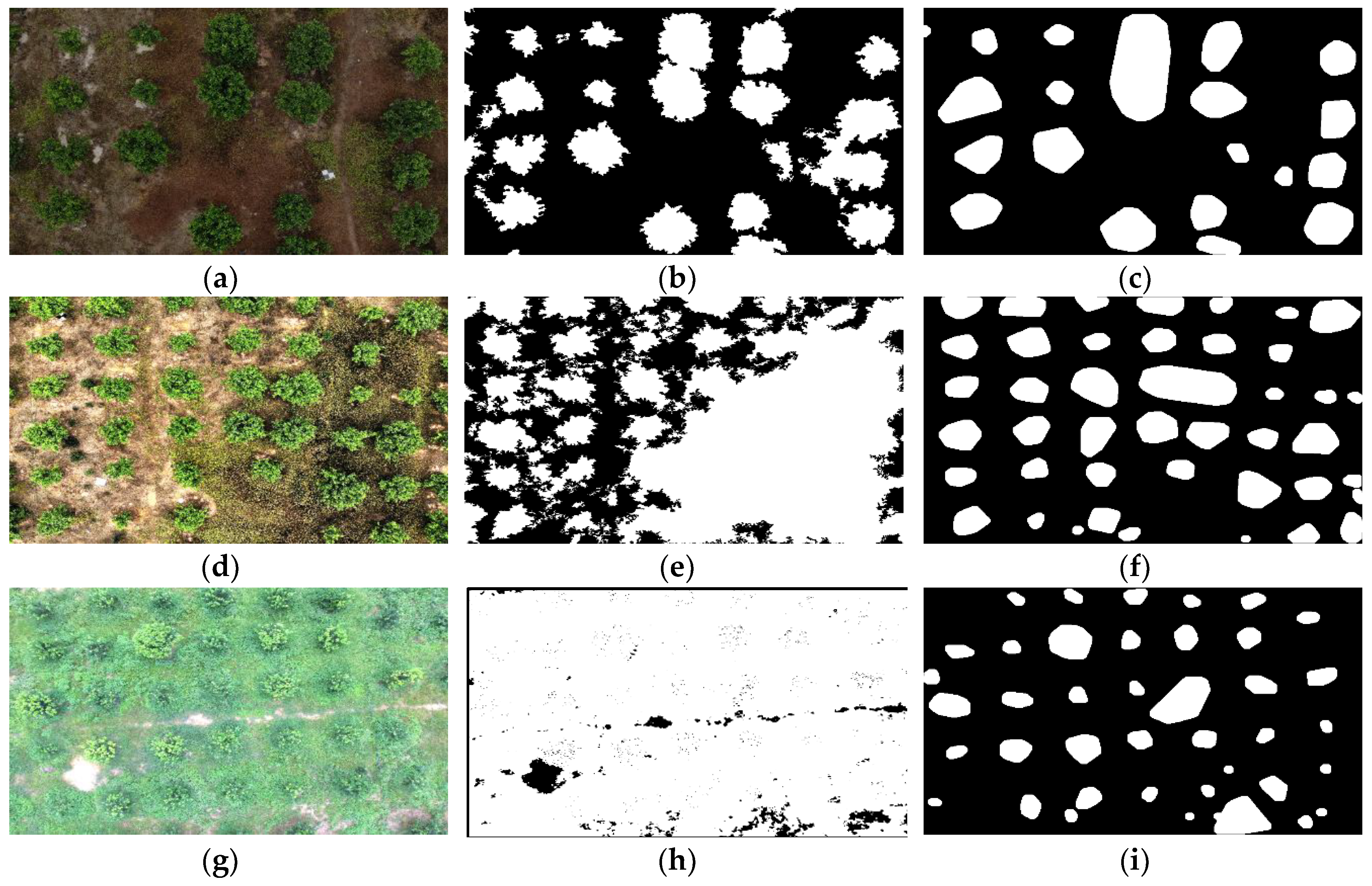 Sensors 19 05558 g010
