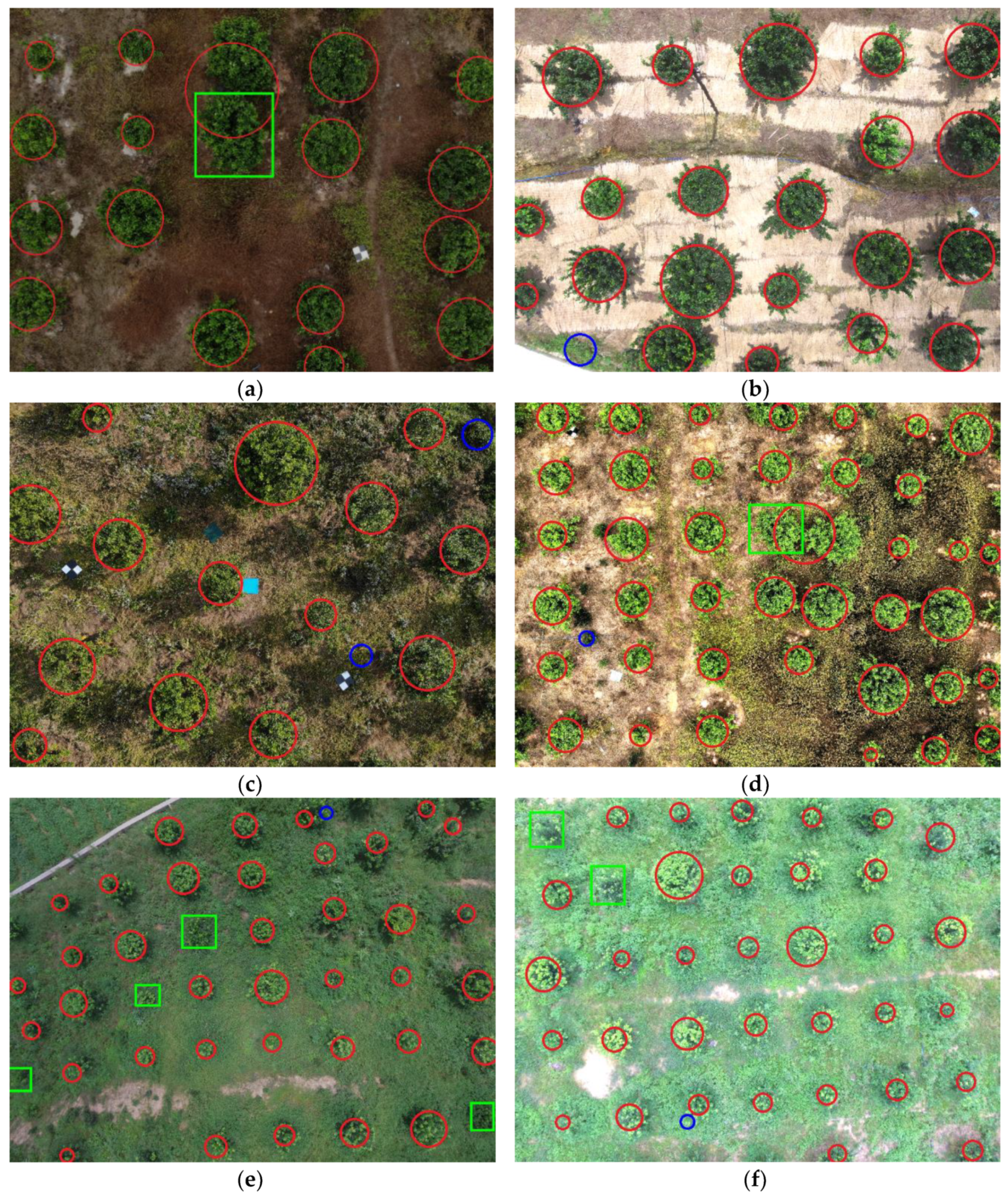 Sensors 19 05558 g011