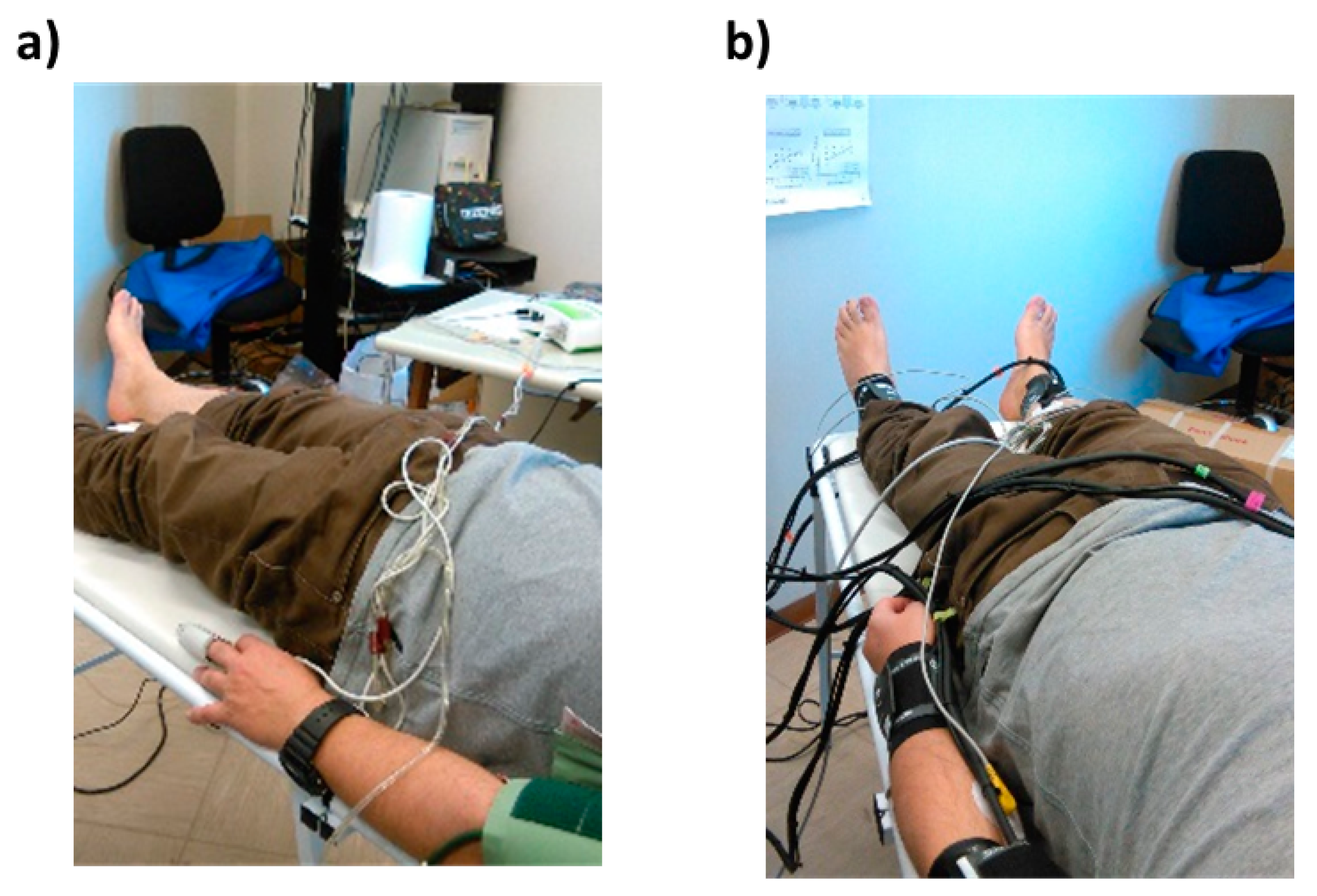 Sensors 19 05570 g005
