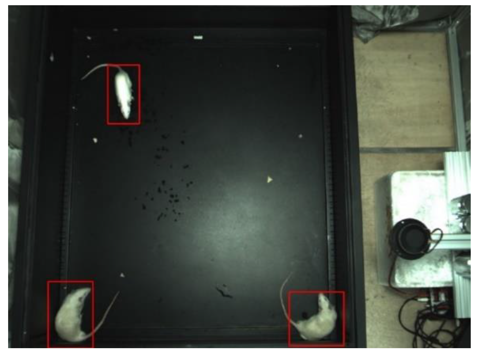Sensors 20 00002 g009 Sensors 20 00002 g009