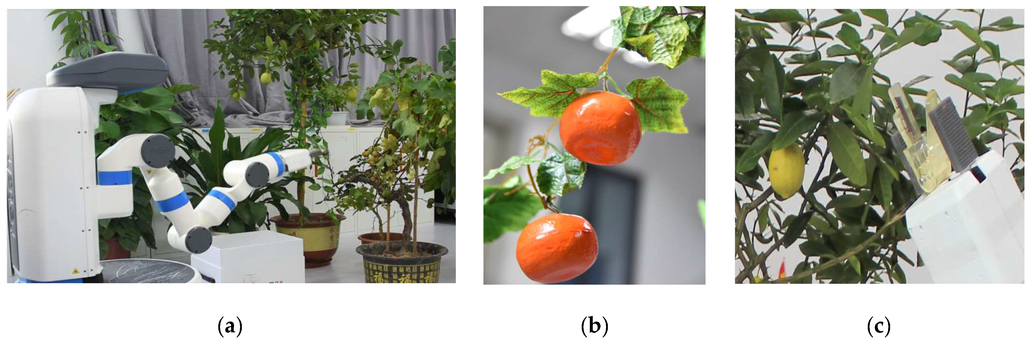 Sensors 20 00093 g009 Sensors 20 00093 g009