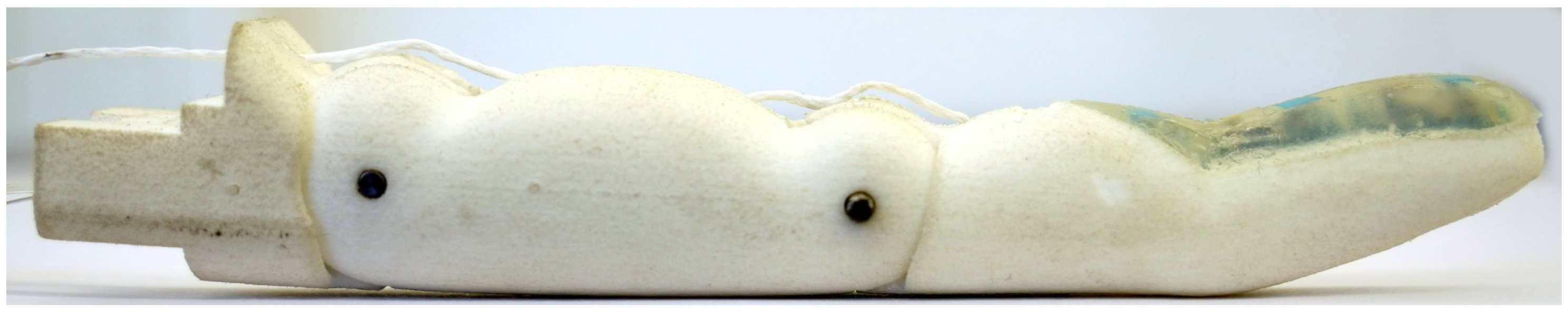 Sensors 20 00101 g004 Sensors 20 00101 g004