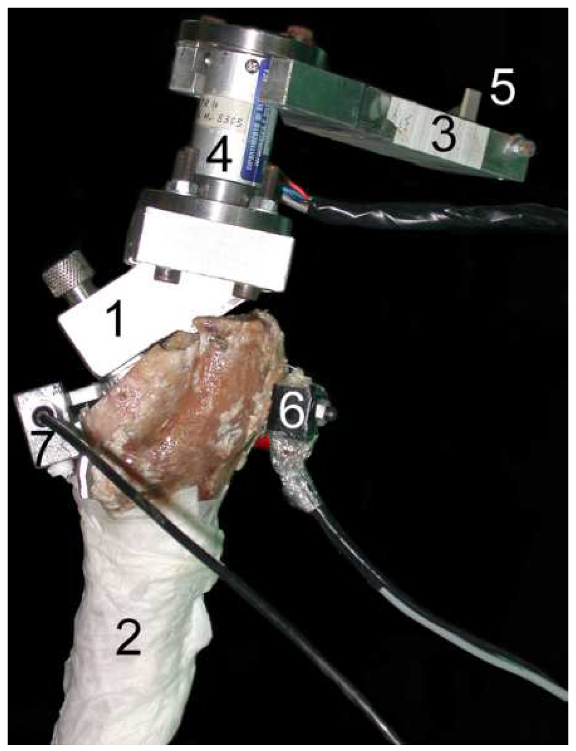 Sensors 20 00104 g004