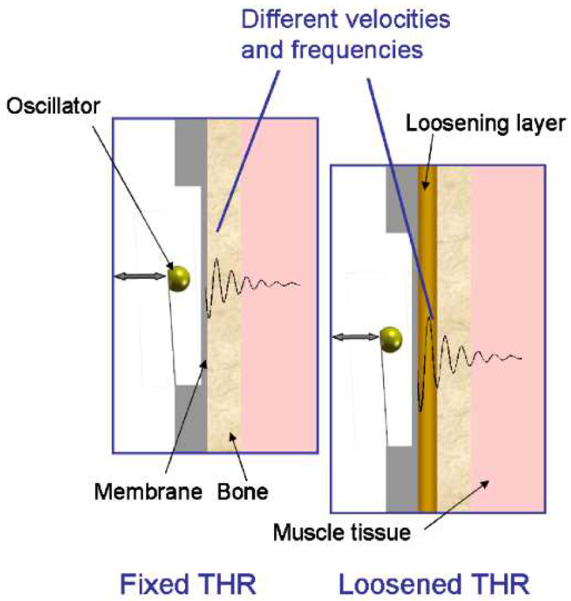 Sensors 20 00104 g010