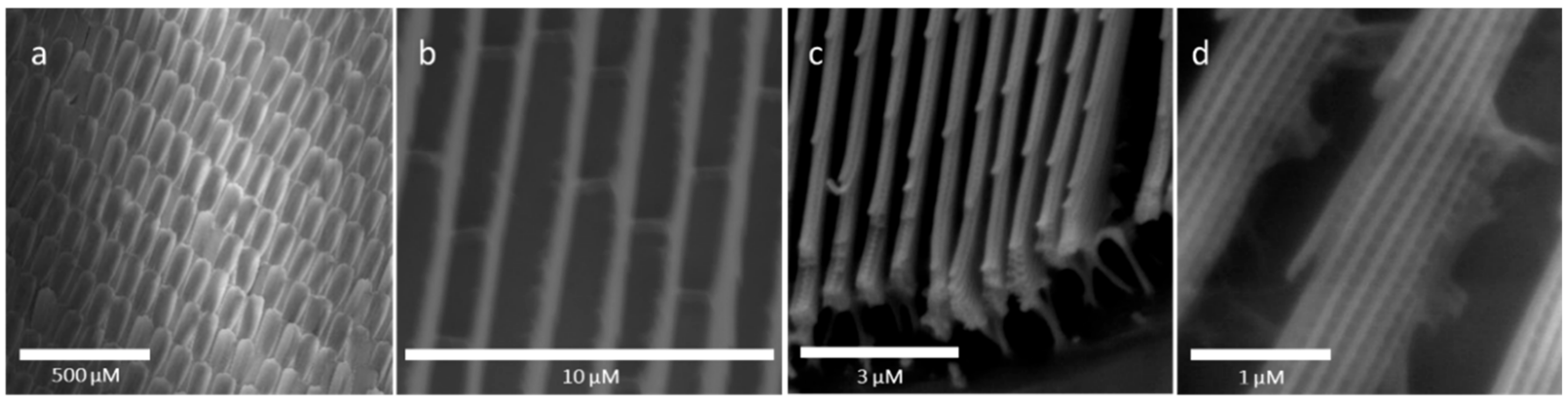 Sensors 20 00157 g001
