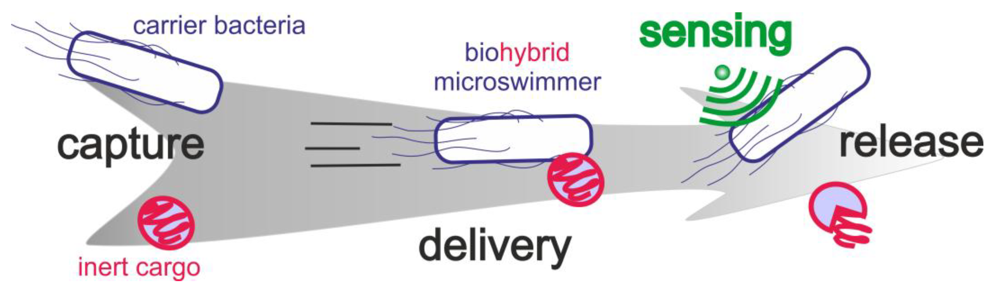 Sensors 20 00180 g001