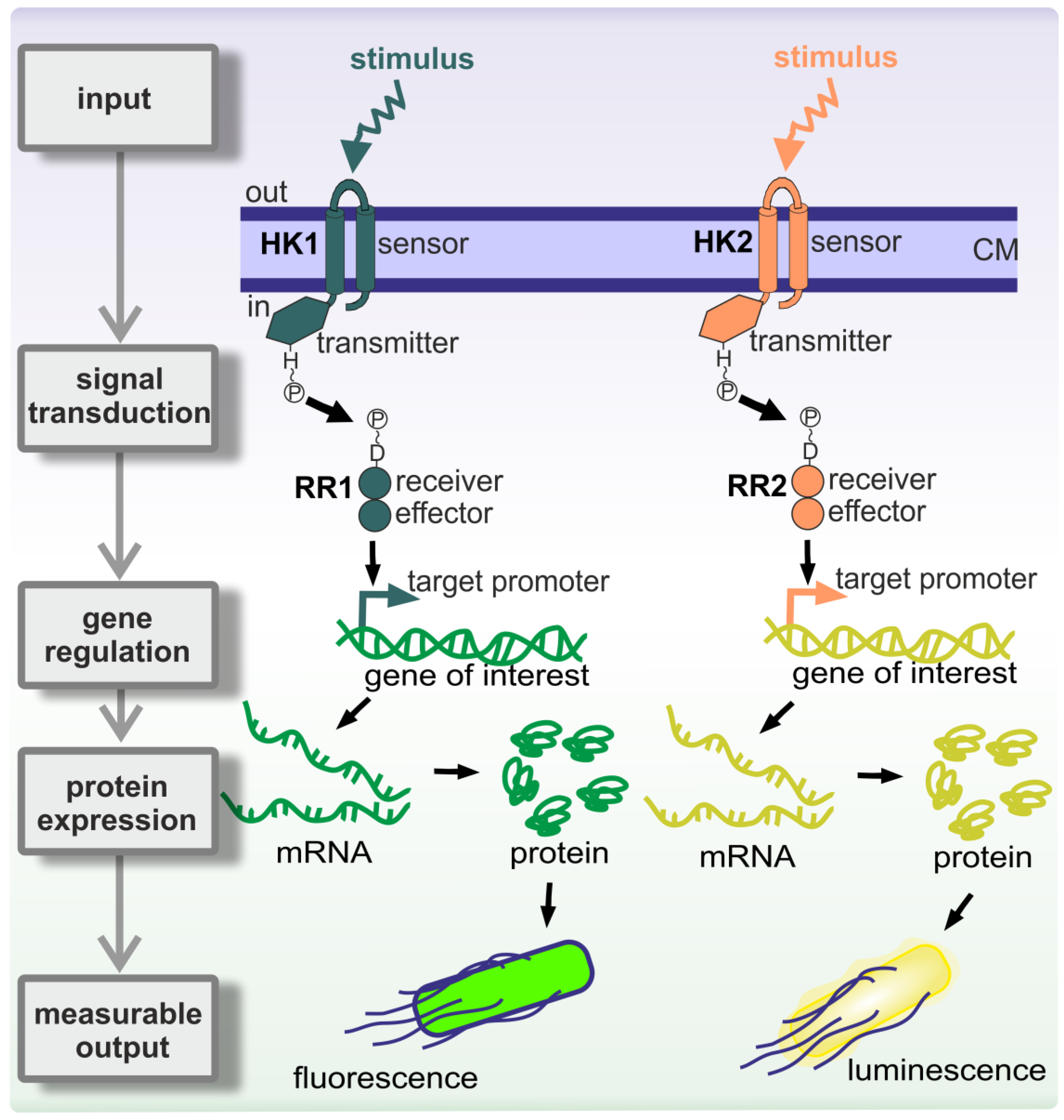 Sensors 20 00180 g002