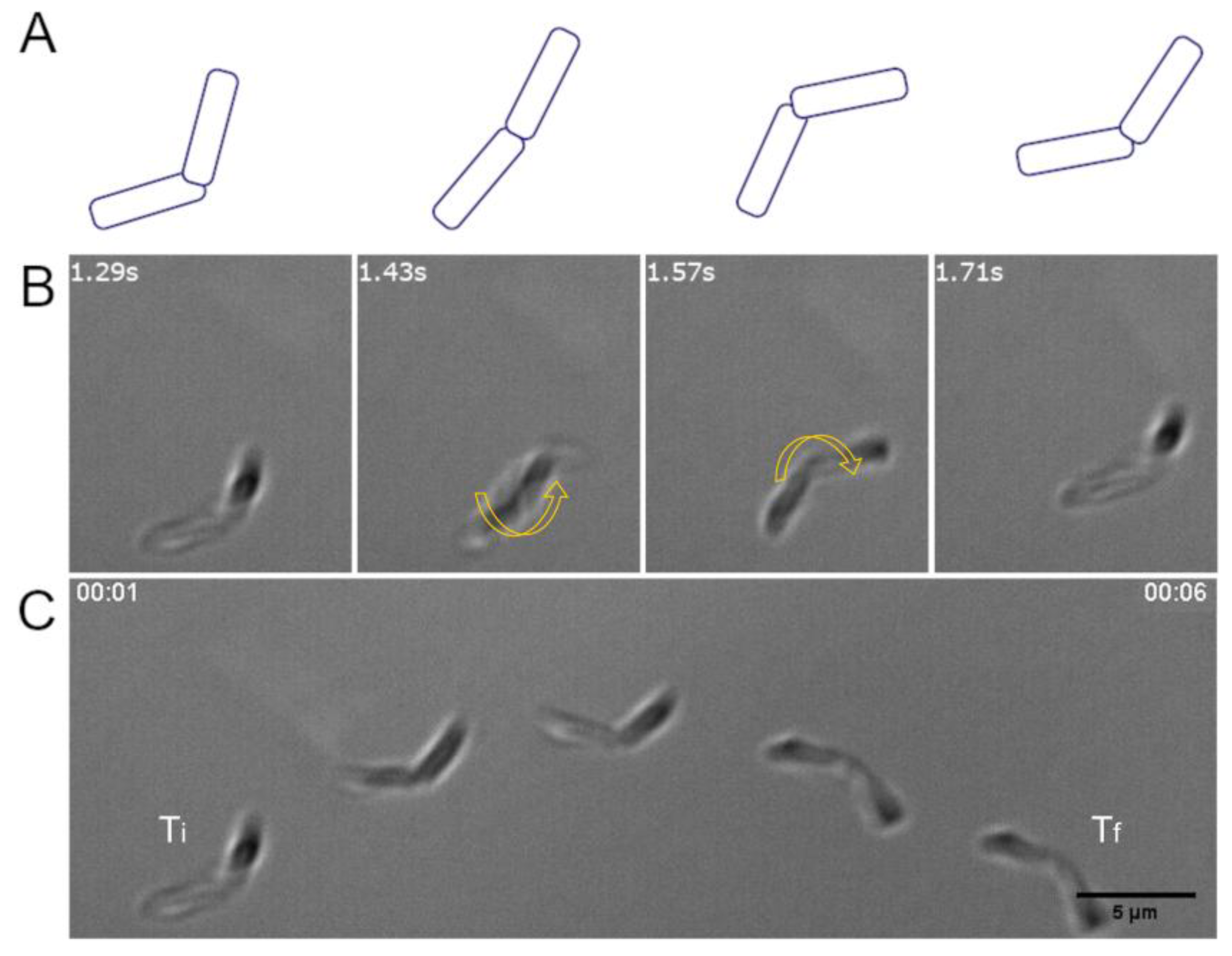 Sensors 20 00180 g003
