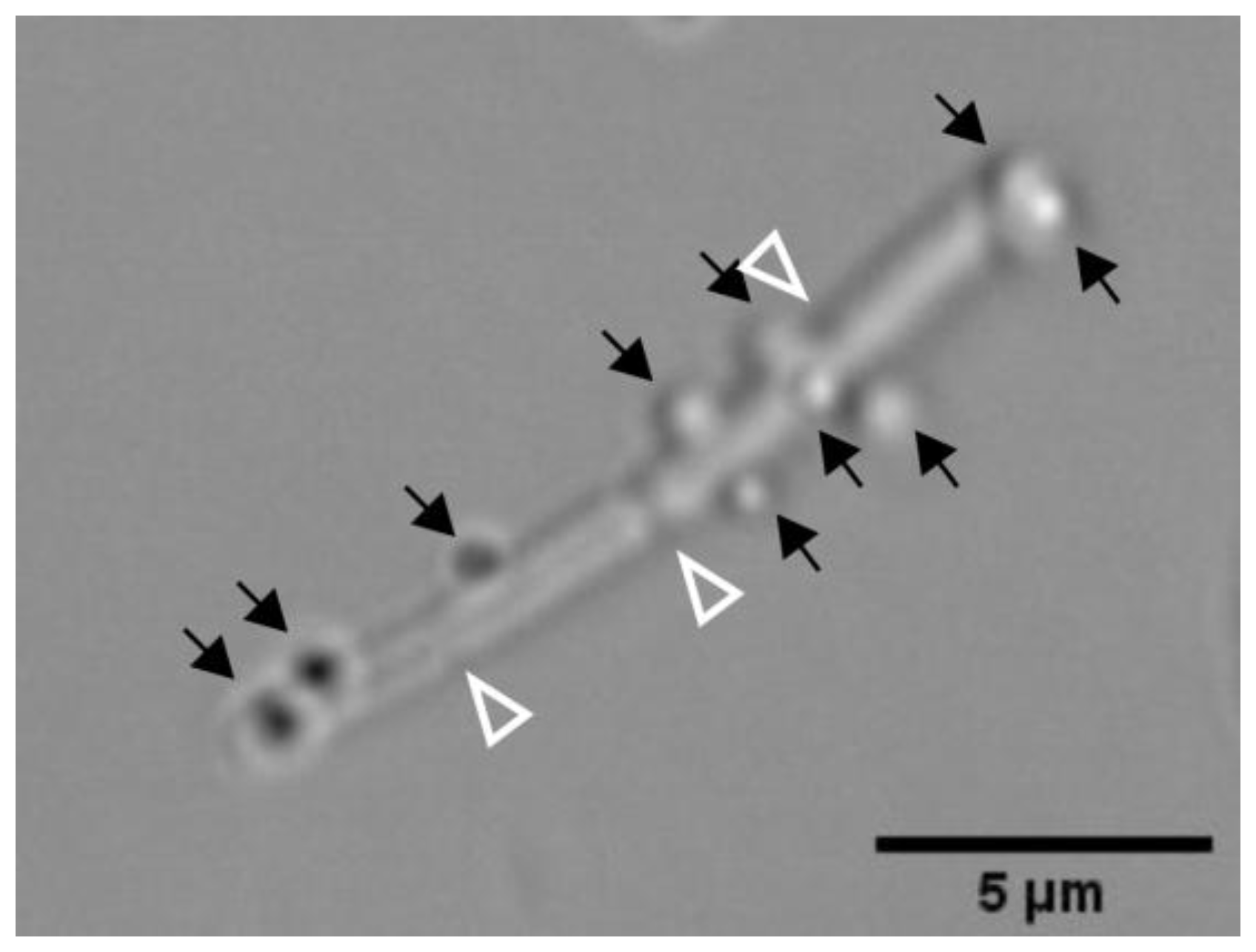 Sensors 20 00180 g004