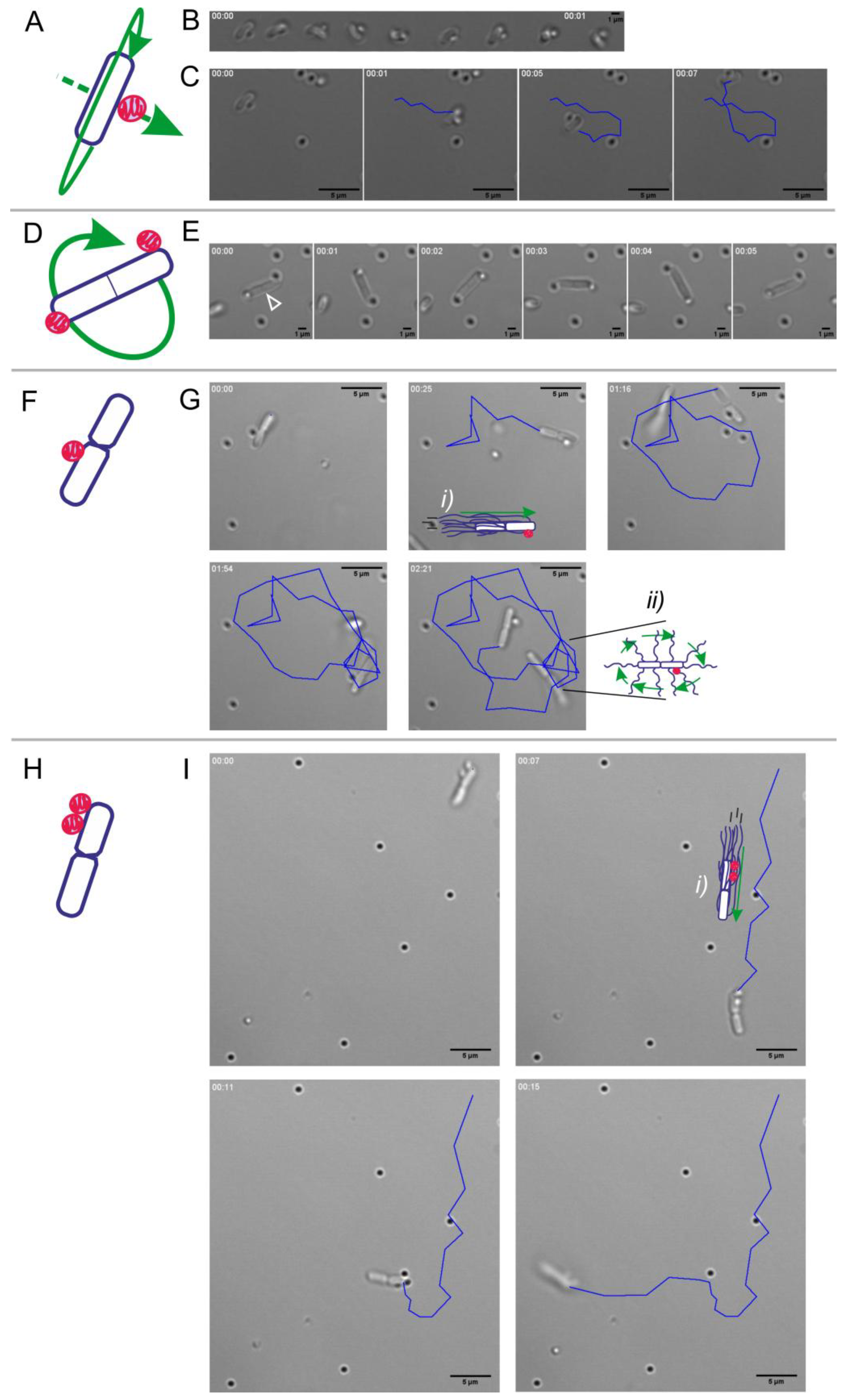 Sensors 20 00180 g005