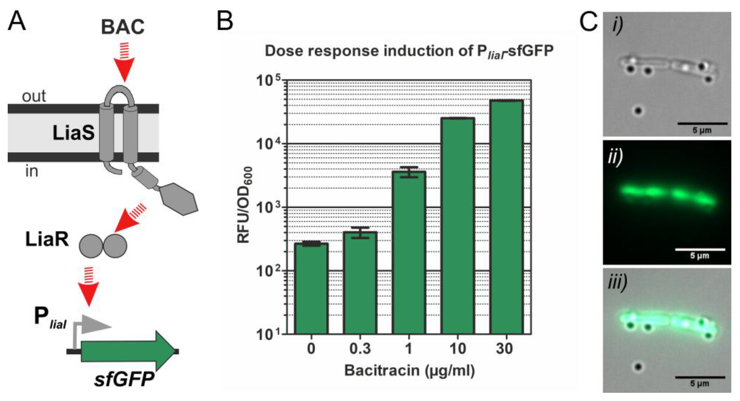 Sensors 20 00180 g006
