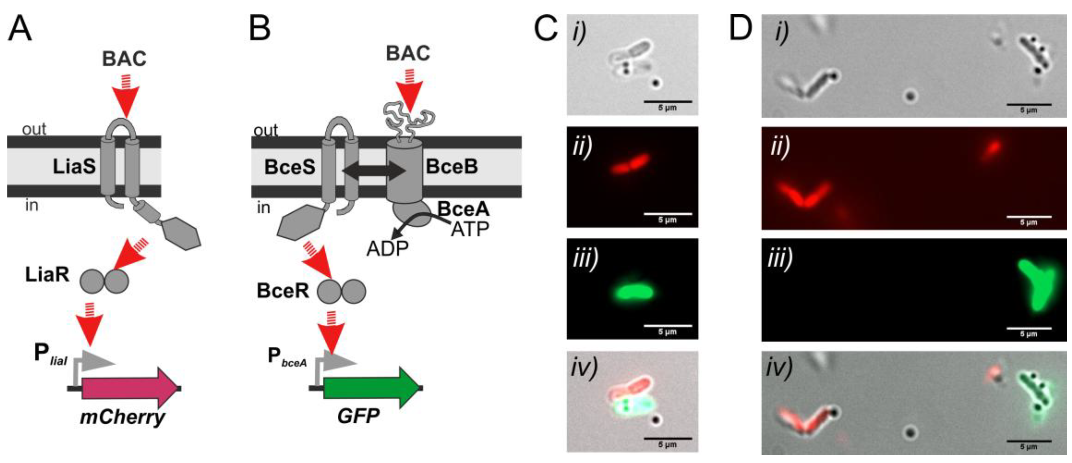 Sensors 20 00180 g007