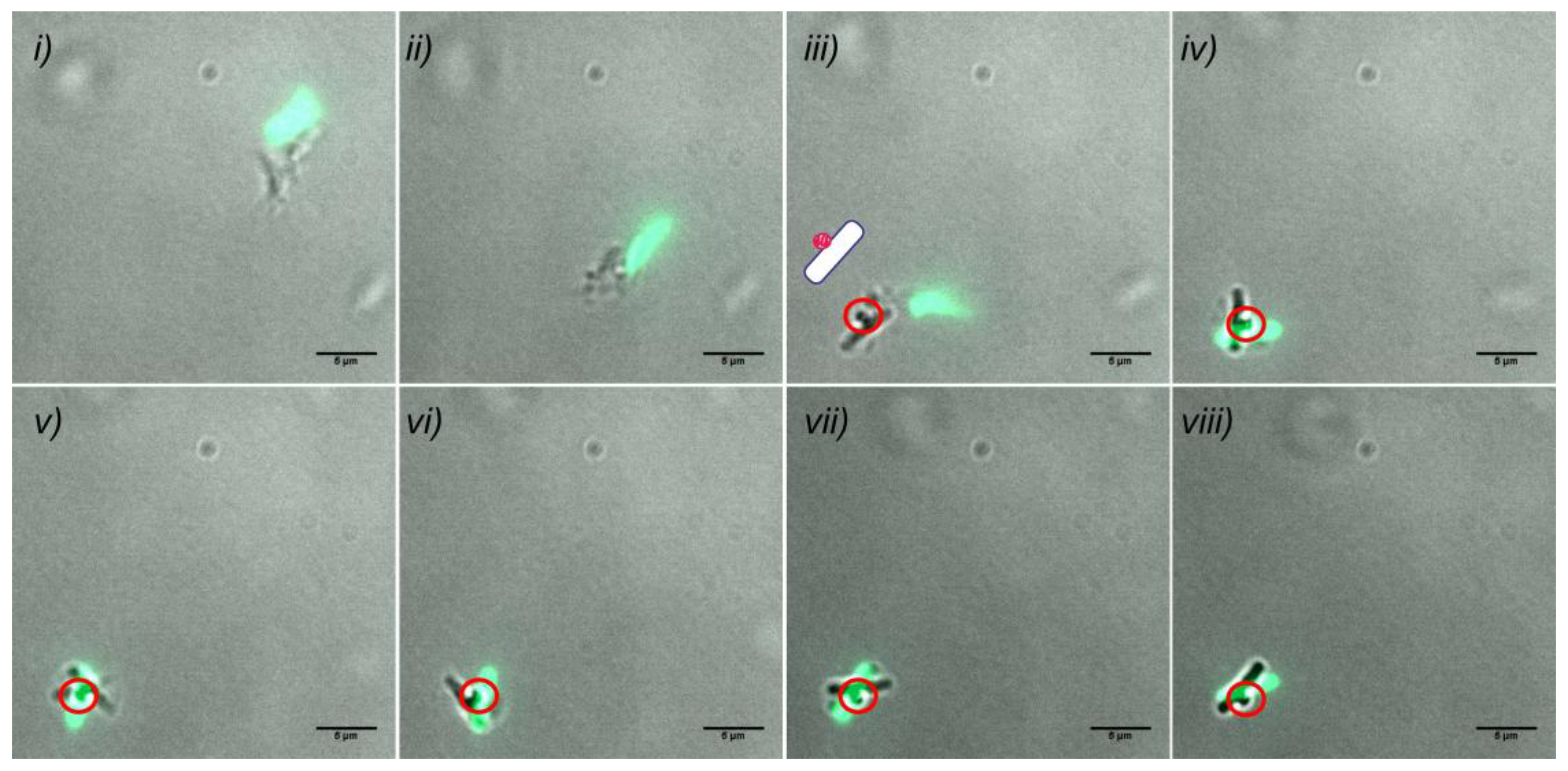 Sensors 20 00180 g008