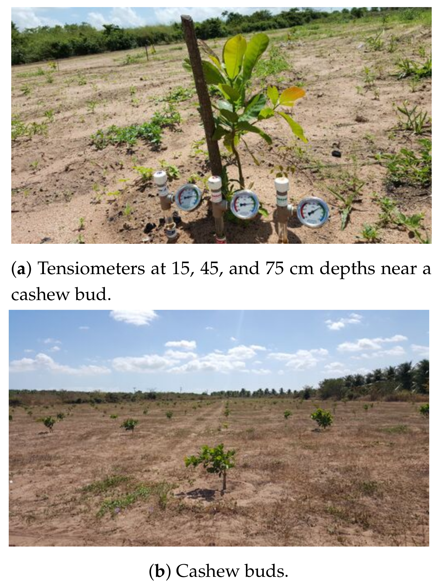 Sensors 20 00190 g004