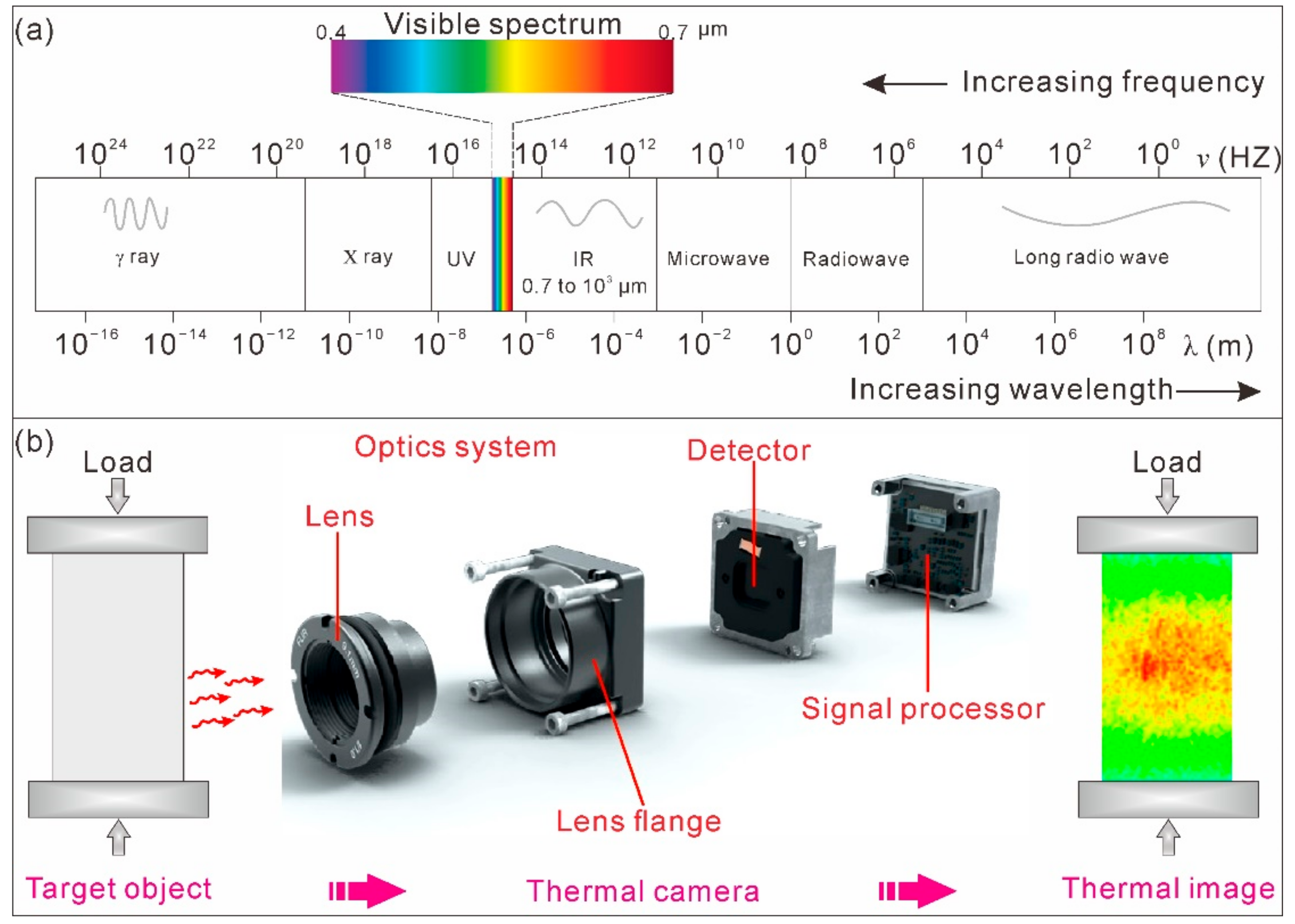 Sensors 20 00219 g002