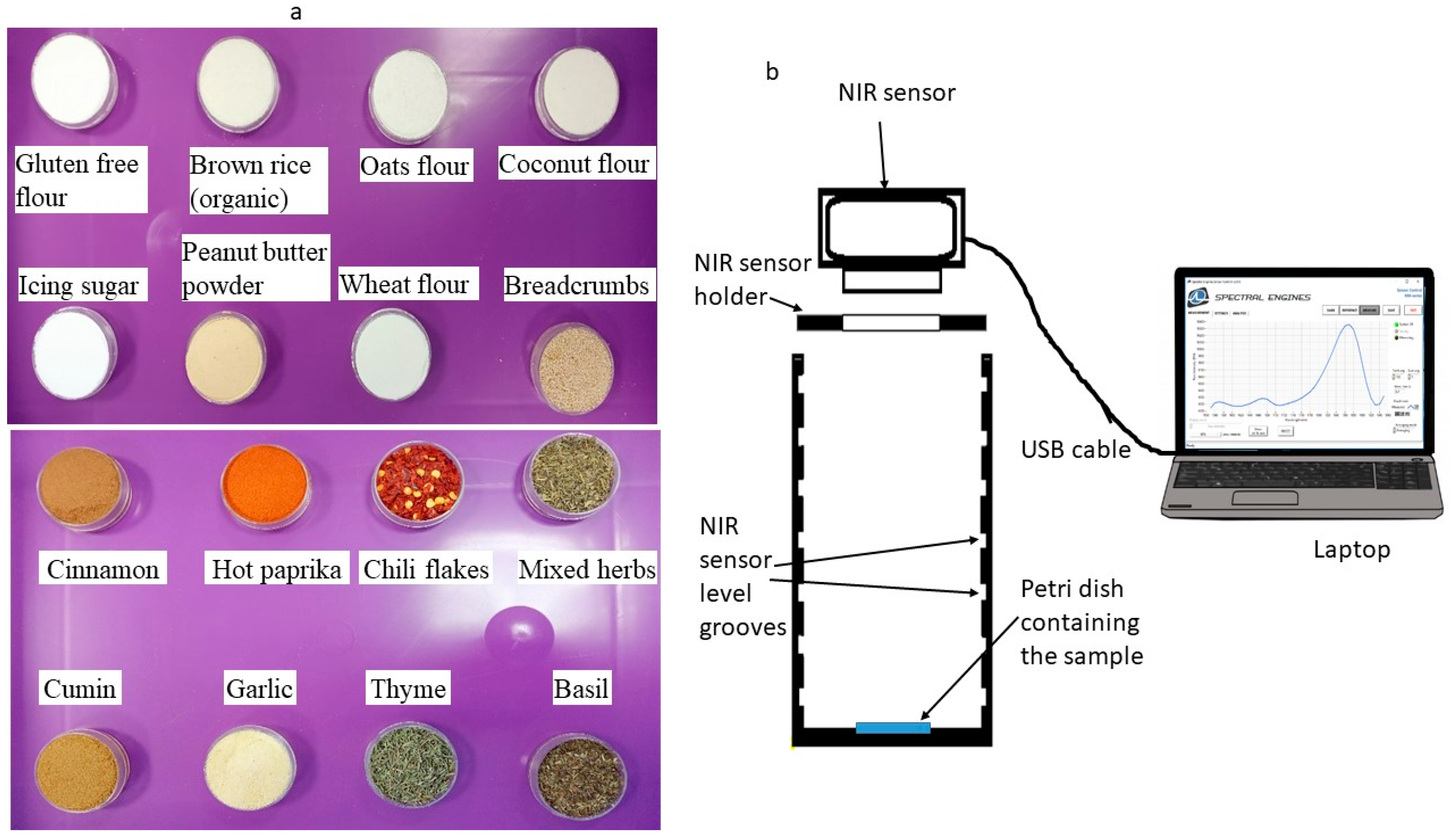 Sensors 20 00230 g001