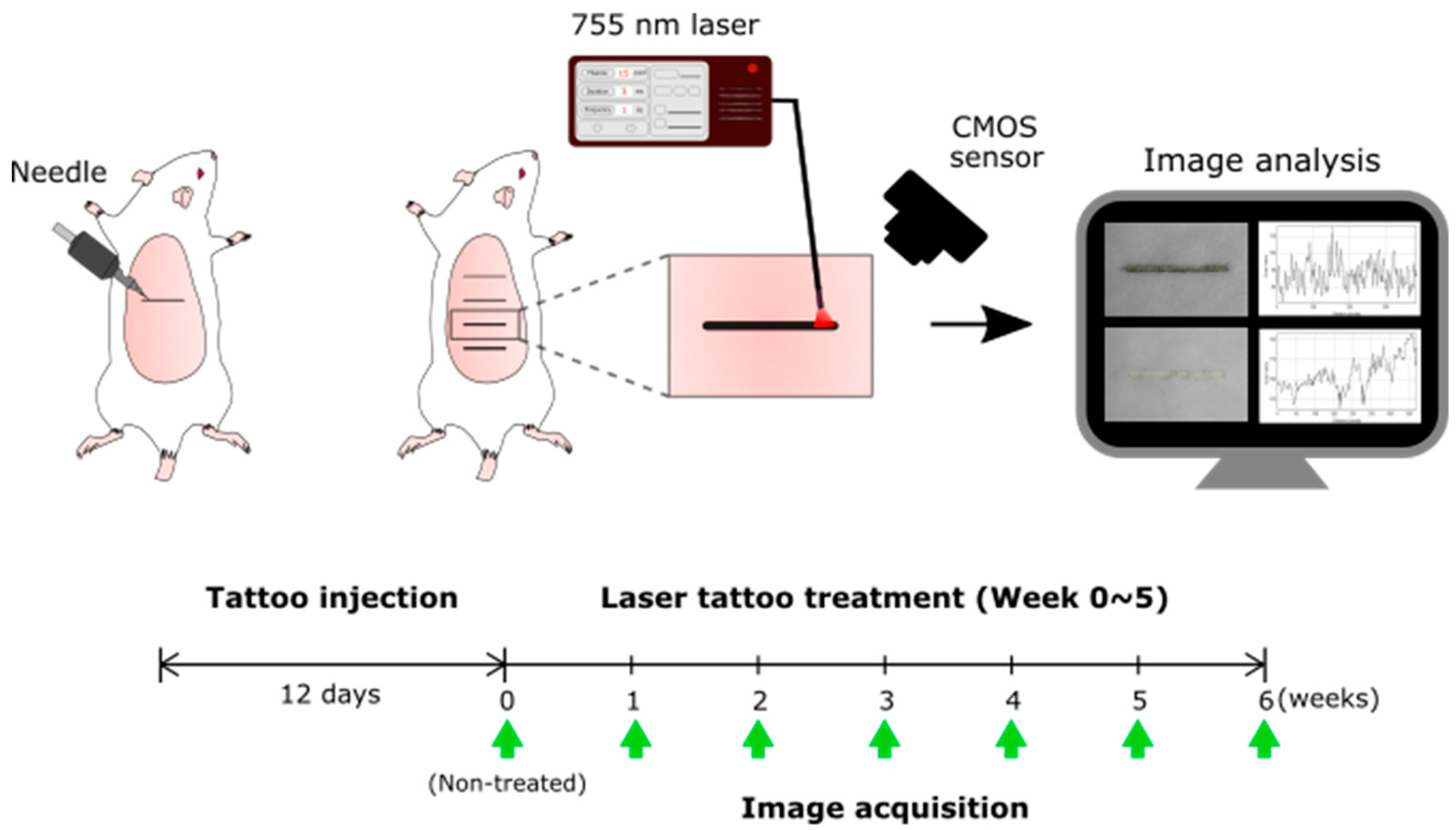 Sensors 20 00285 g001