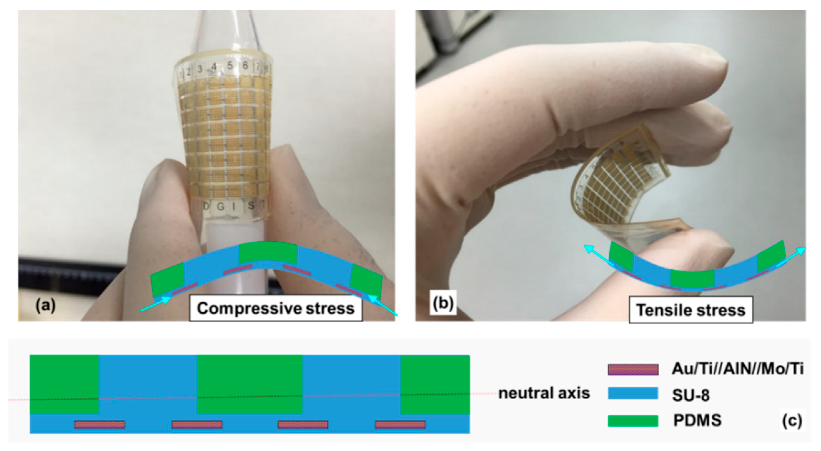 Sensors 20 00315 g004