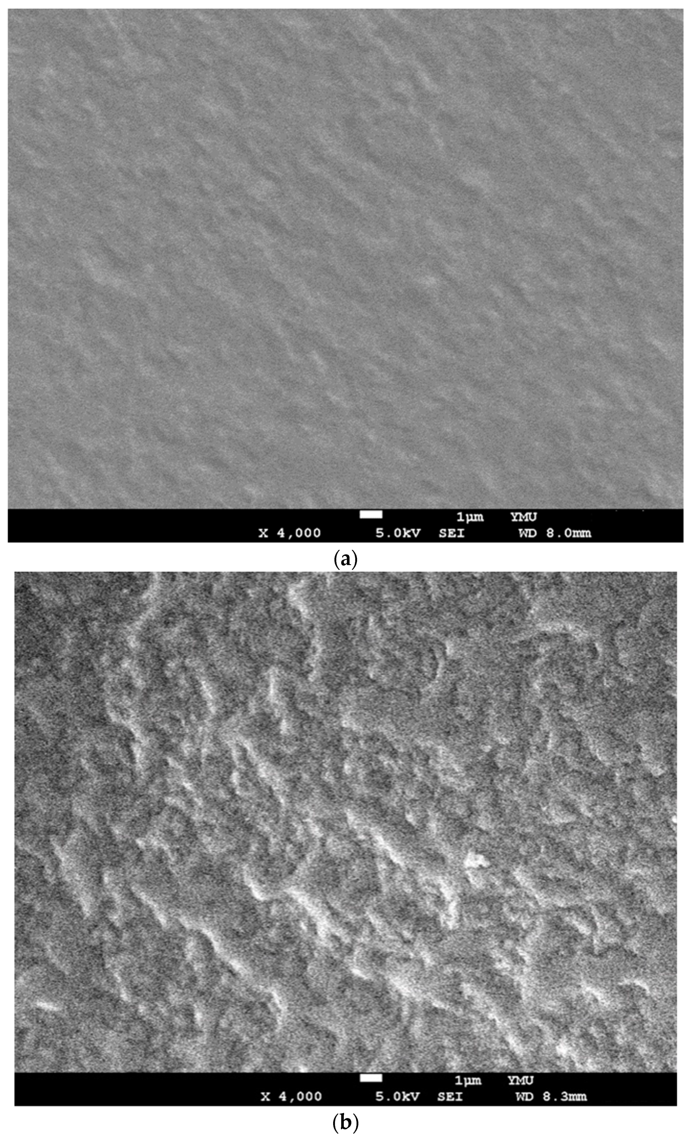 Sensors 20 00366 g003a Sensors 20 00366 g003a