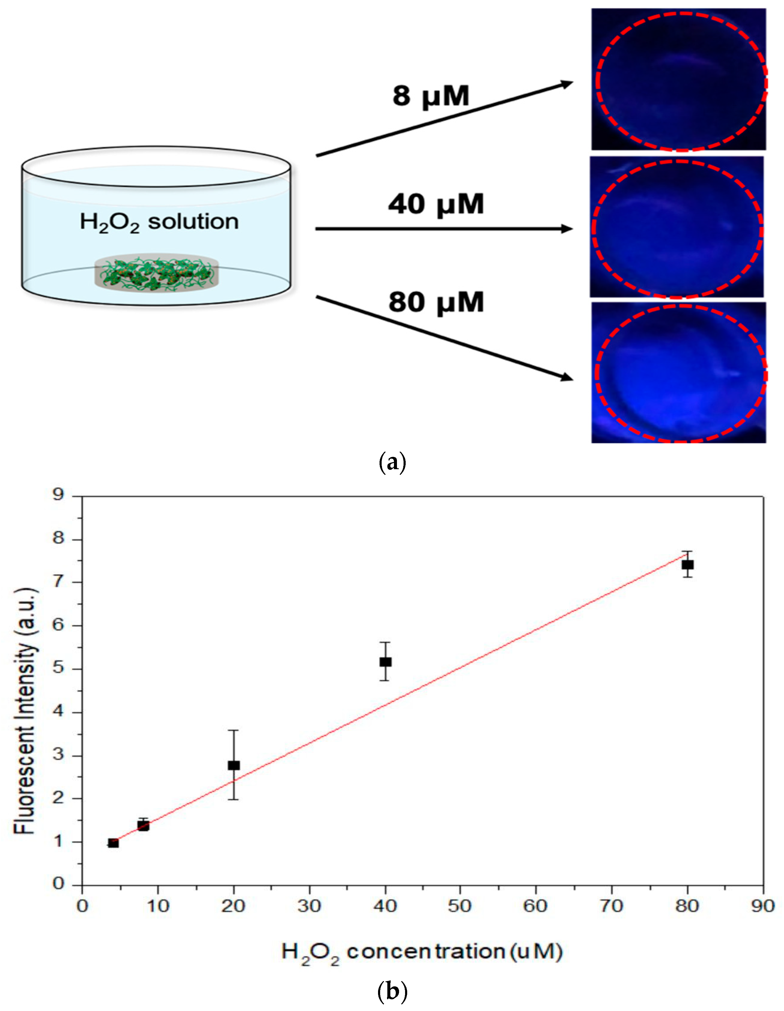 Sensors 20 00366 g005 Sensors 20 00366 g005