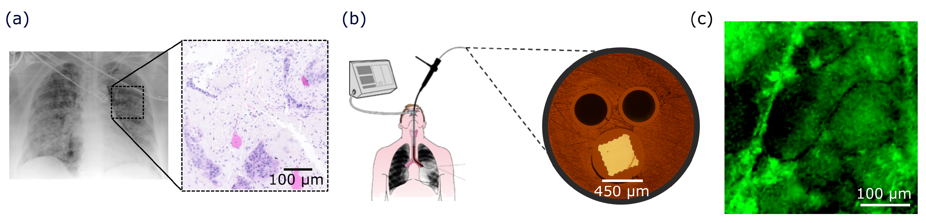Sensors 20 00402 g002