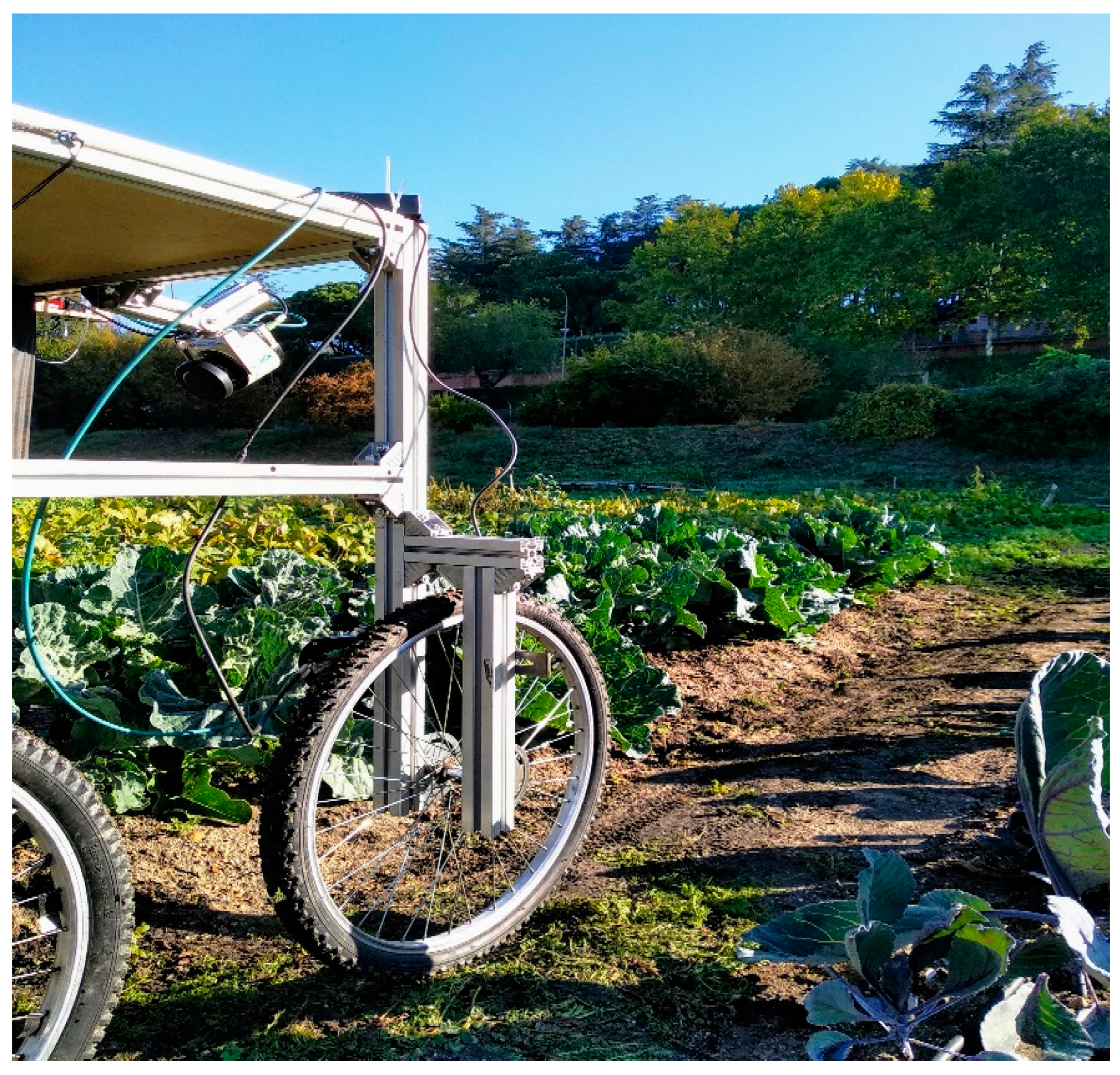 Sensors 20 00435 g001