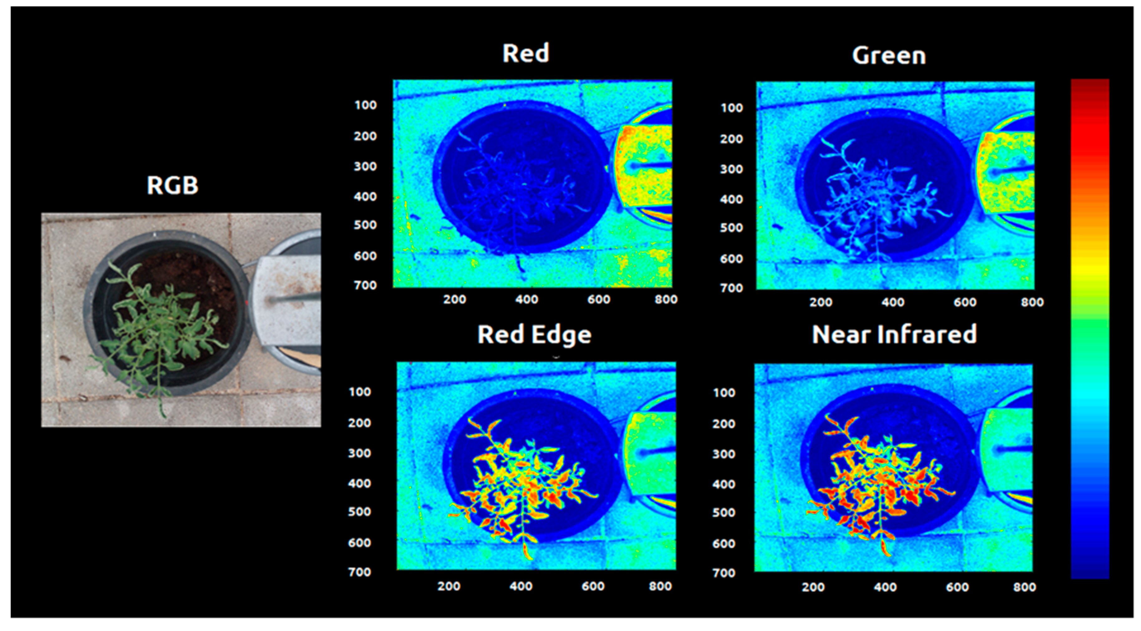 Sensors 20 00435 g004