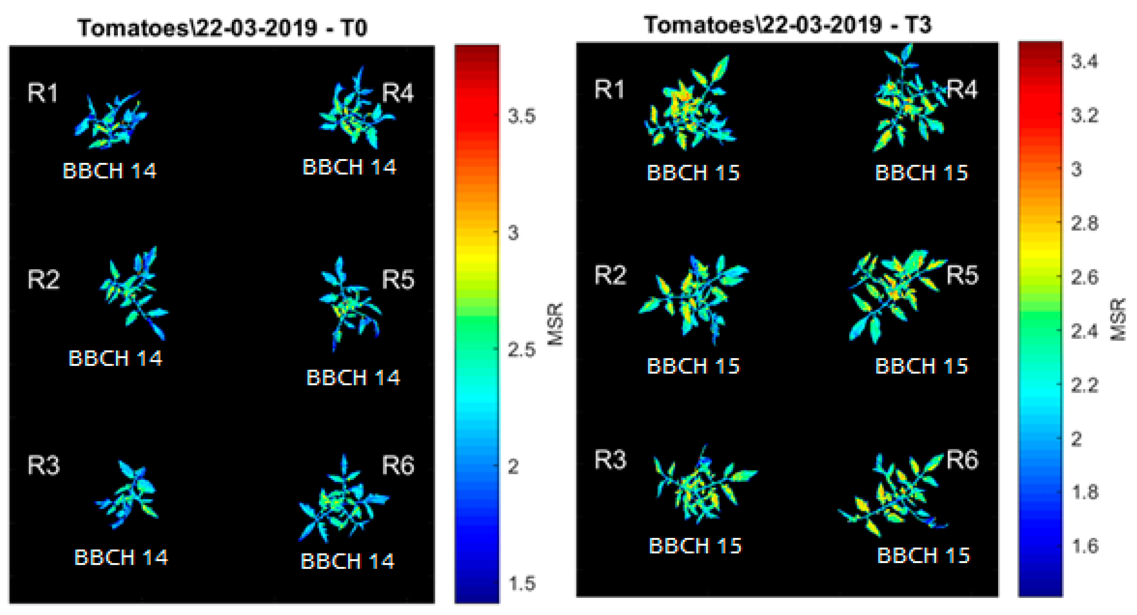 Sensors 20 00435 g007