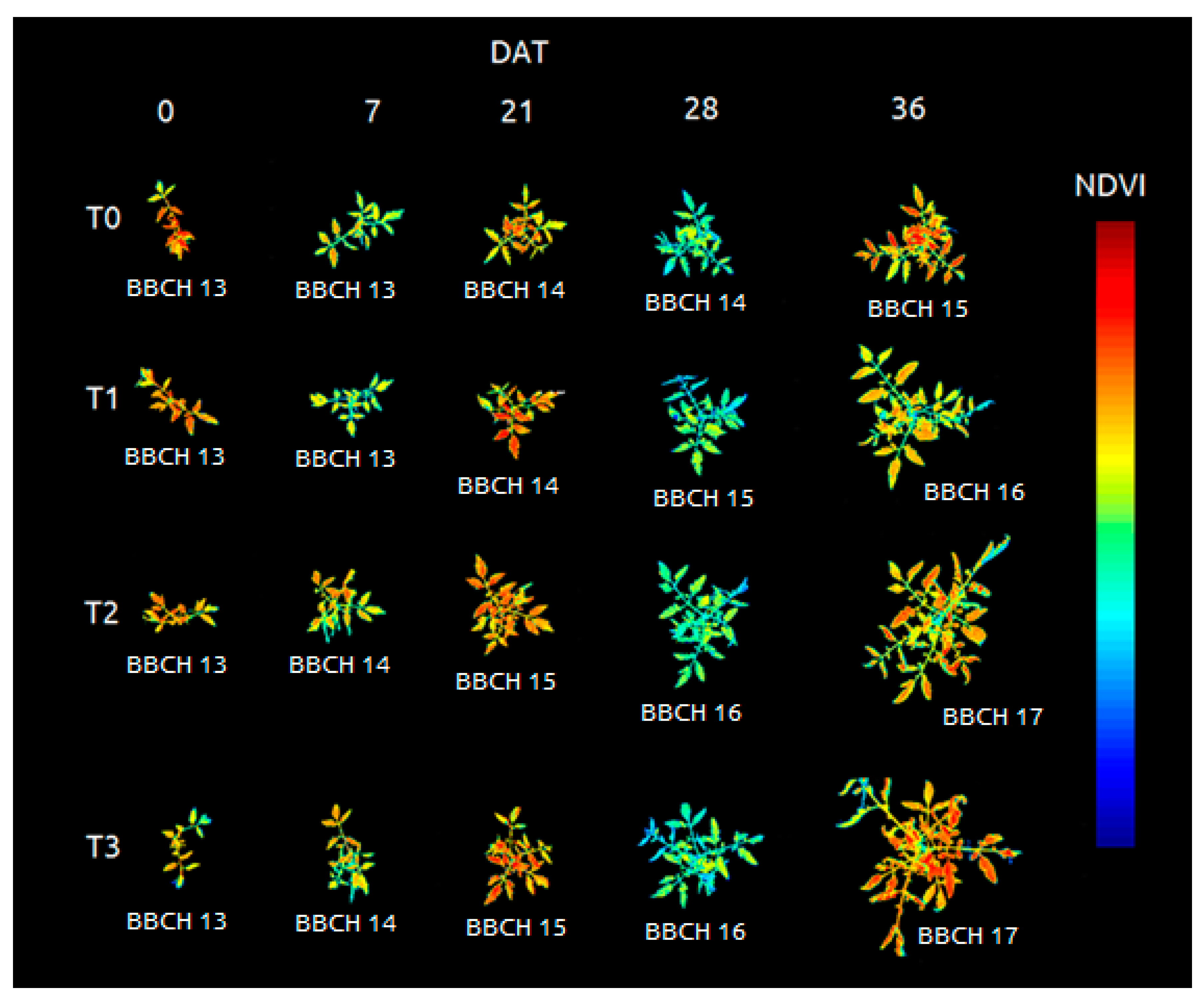 Sensors 20 00435 g008