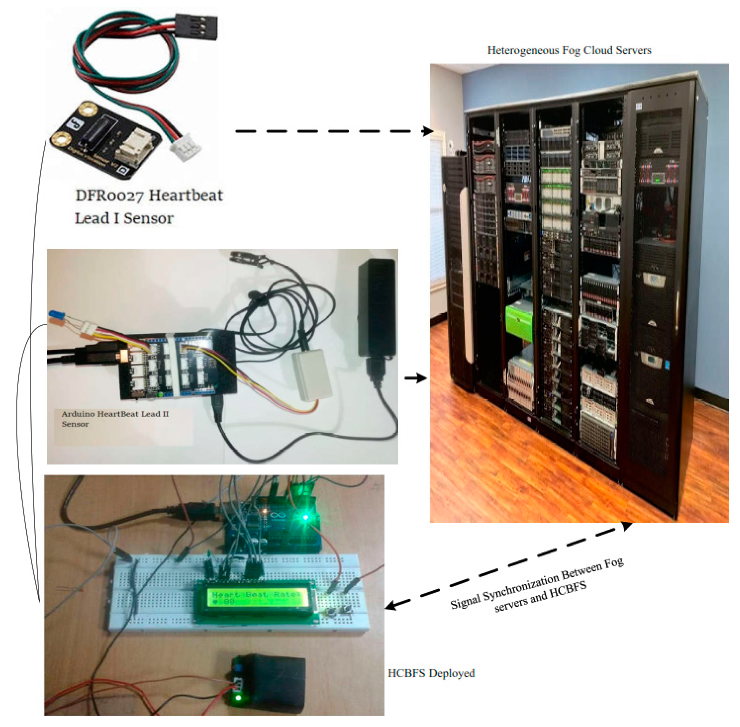 Sensors 20 00441 g005