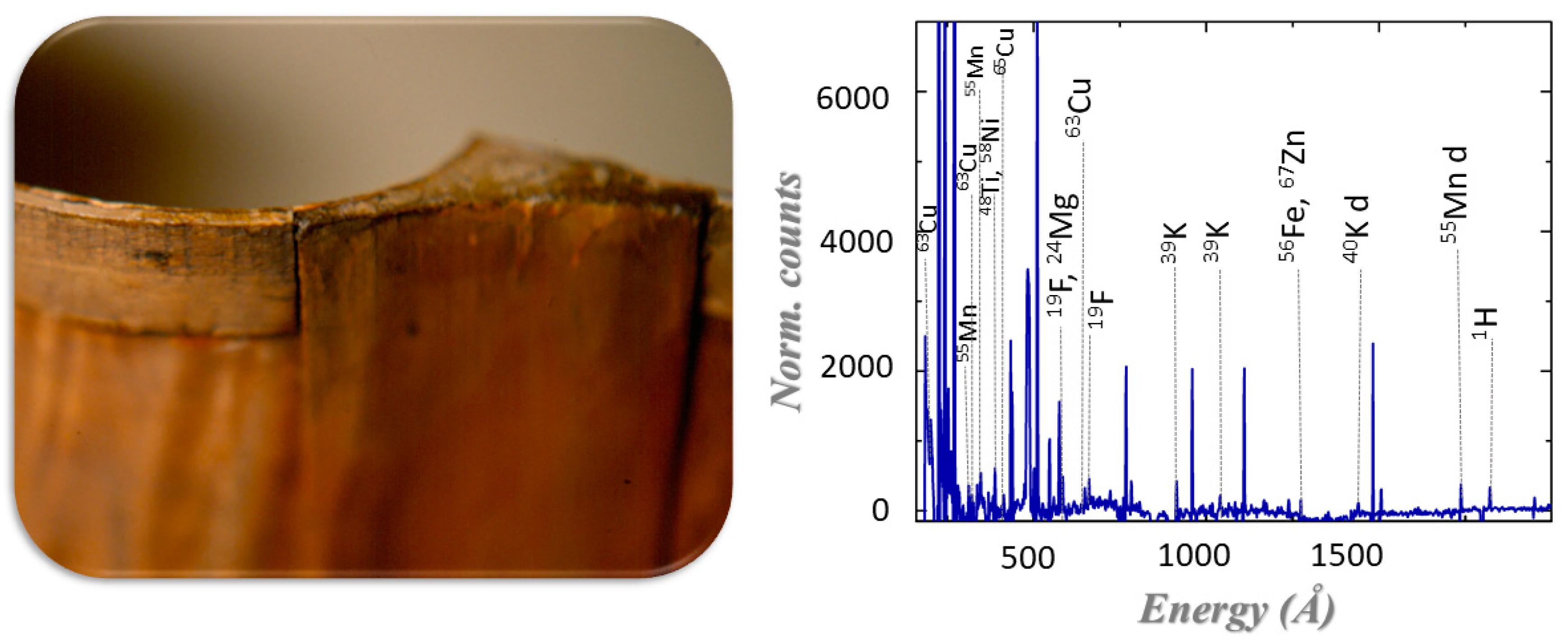 Sensors 20 00502 g004