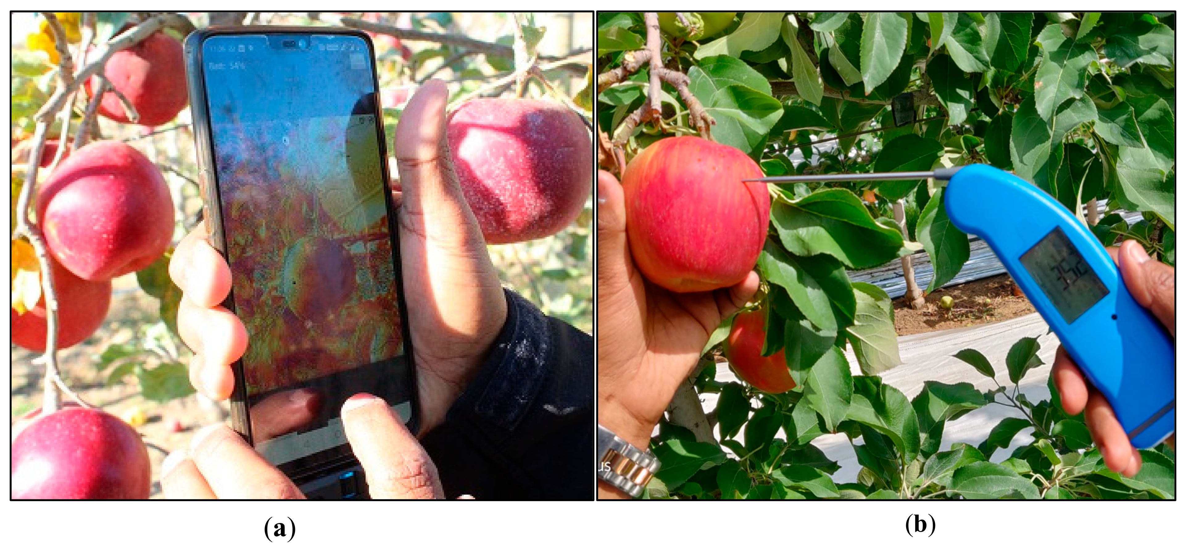 Sensors 20 00608 g006