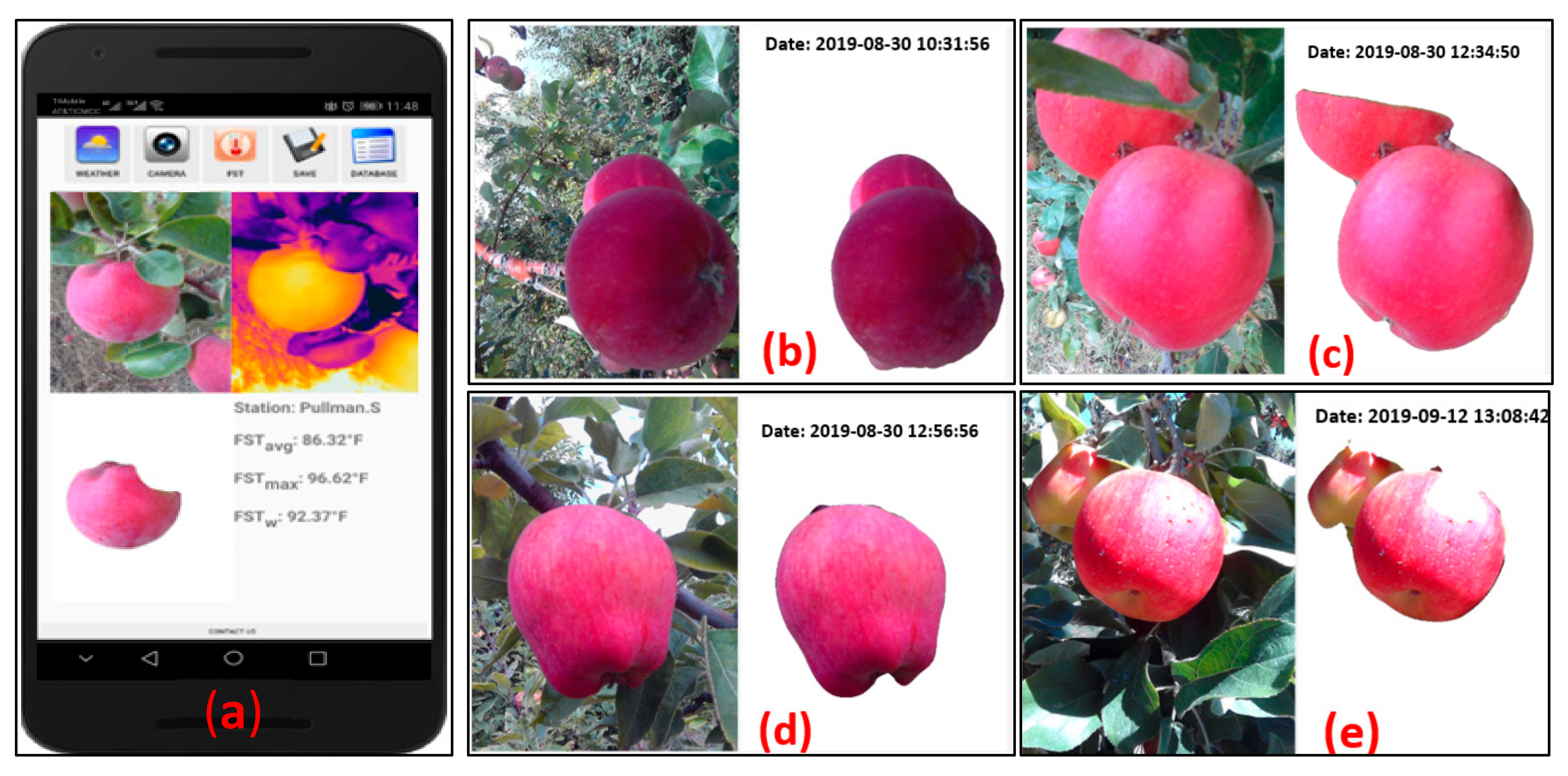 Sensors 20 00608 g007
