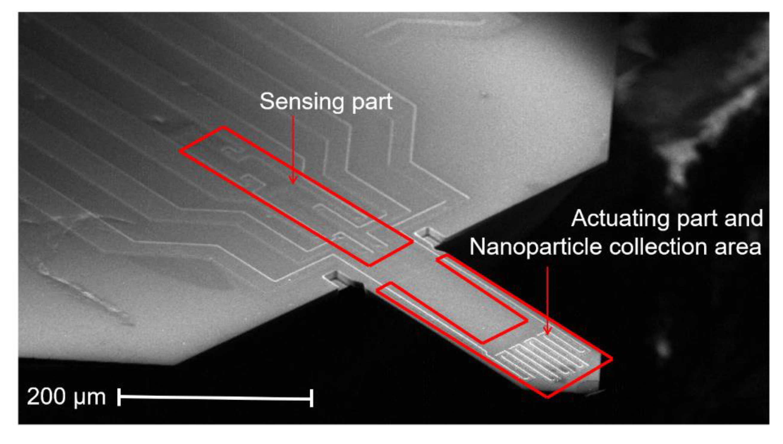 Sensors 20 00618 g005
